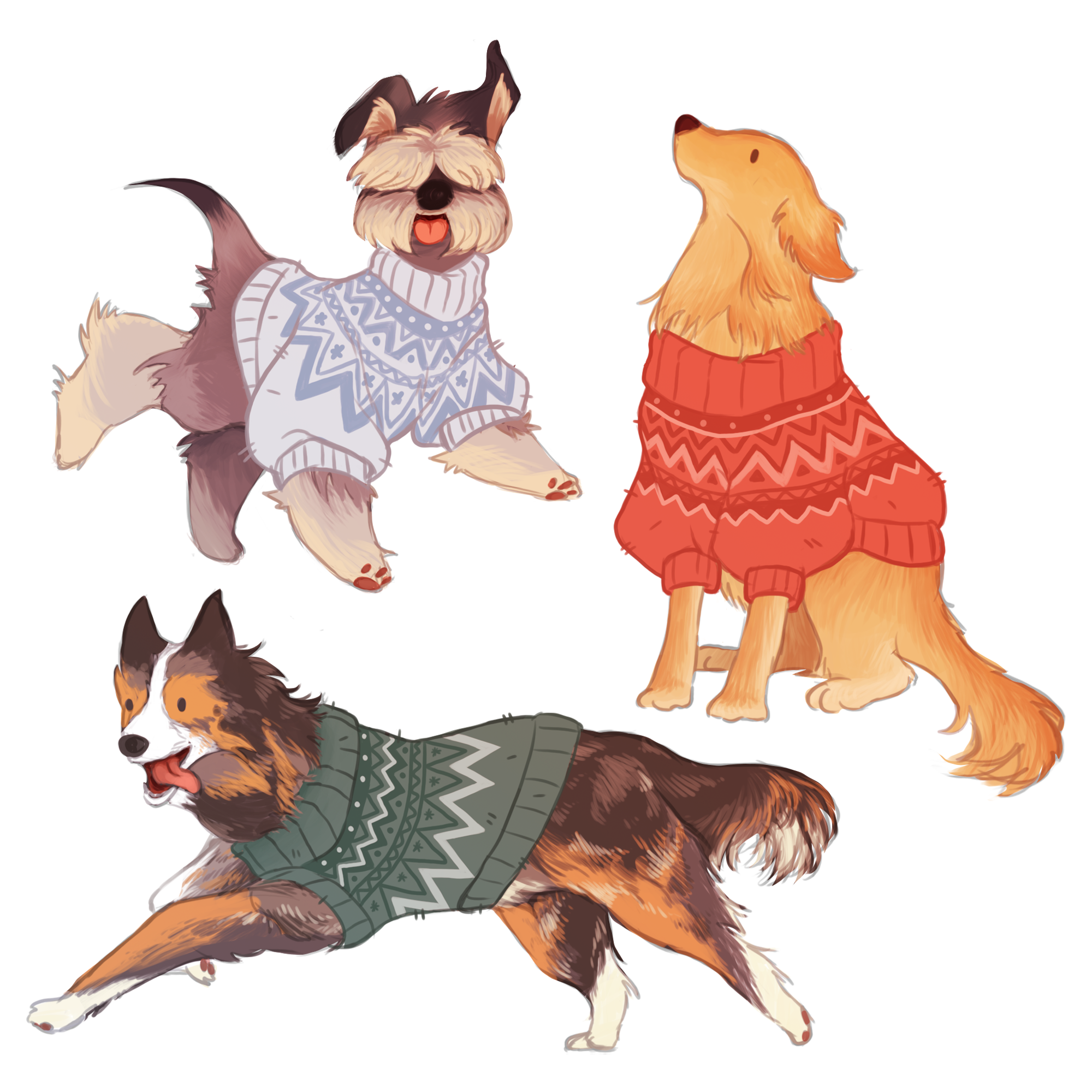 doggy xmas jumpers1.png