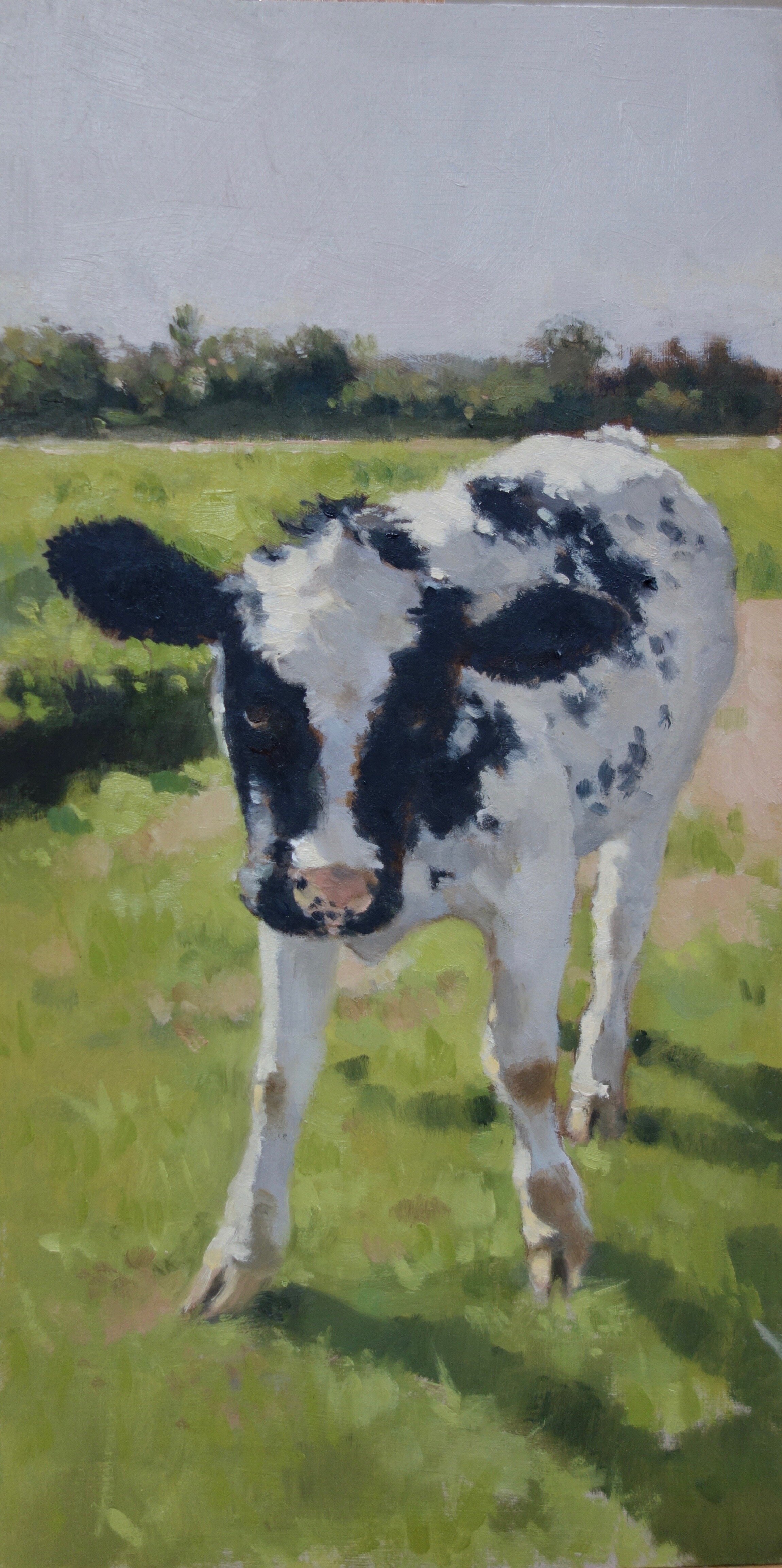 Not a sheep oil on board 12%22x 6%22.jpeg