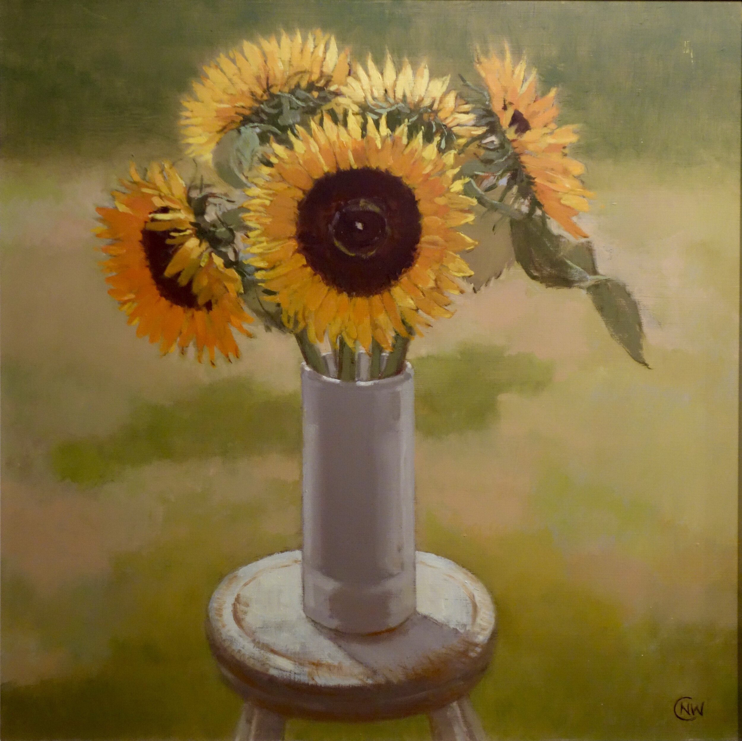 If sunflowers grow towards the sun .jpeg