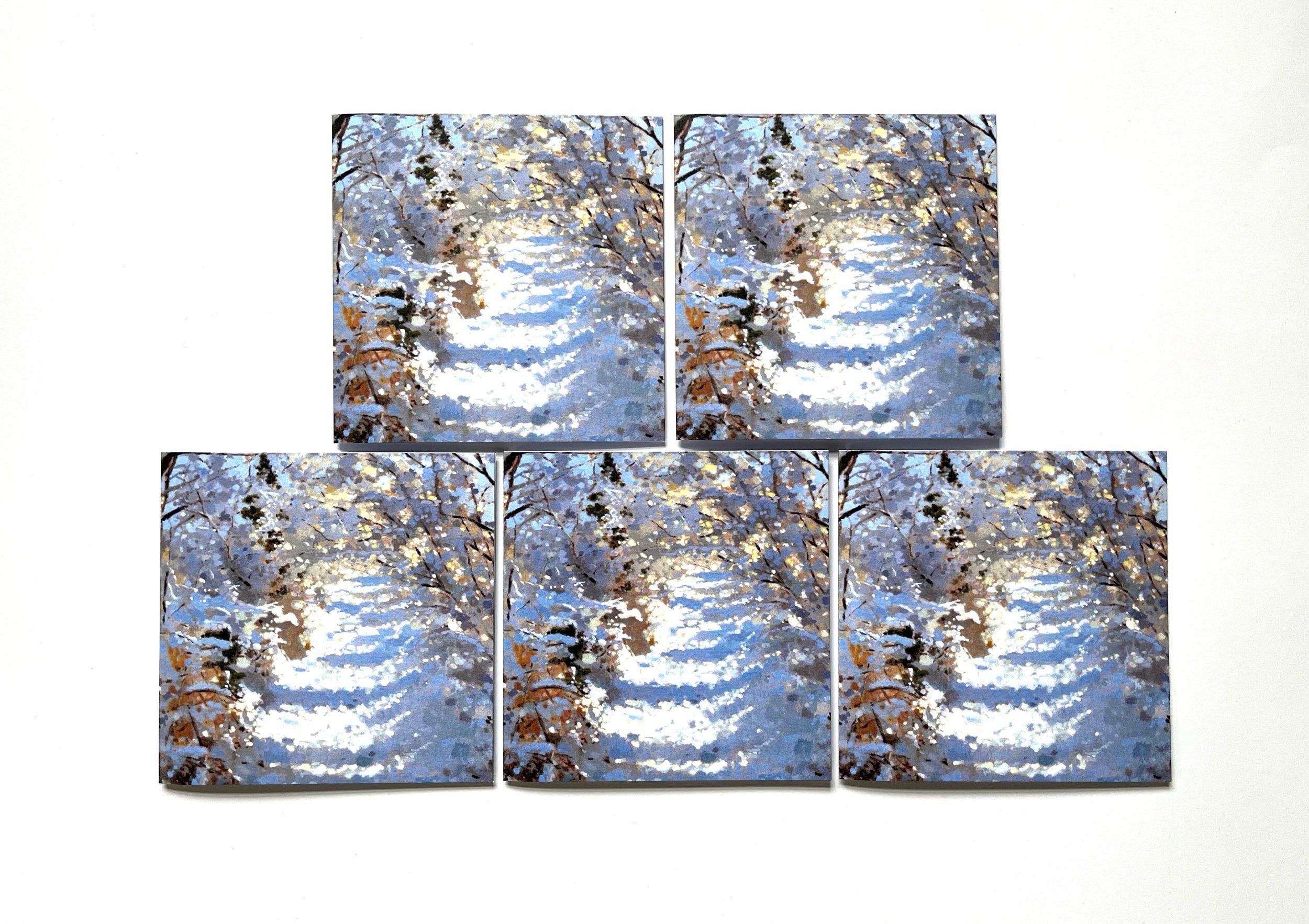 Five Snowy Path Christmas cards