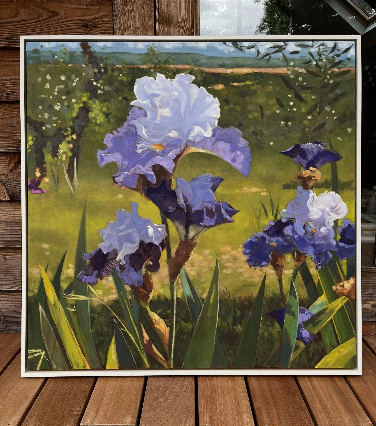 Giardino dell&rsquo;Iris, Oil on canvas, 40 x 40 inches. Finished painting of purple irises inspired by the Iris Garden in Florence which is only open for four weeks every year. I did some studies when I was there but largely composed this from photo
