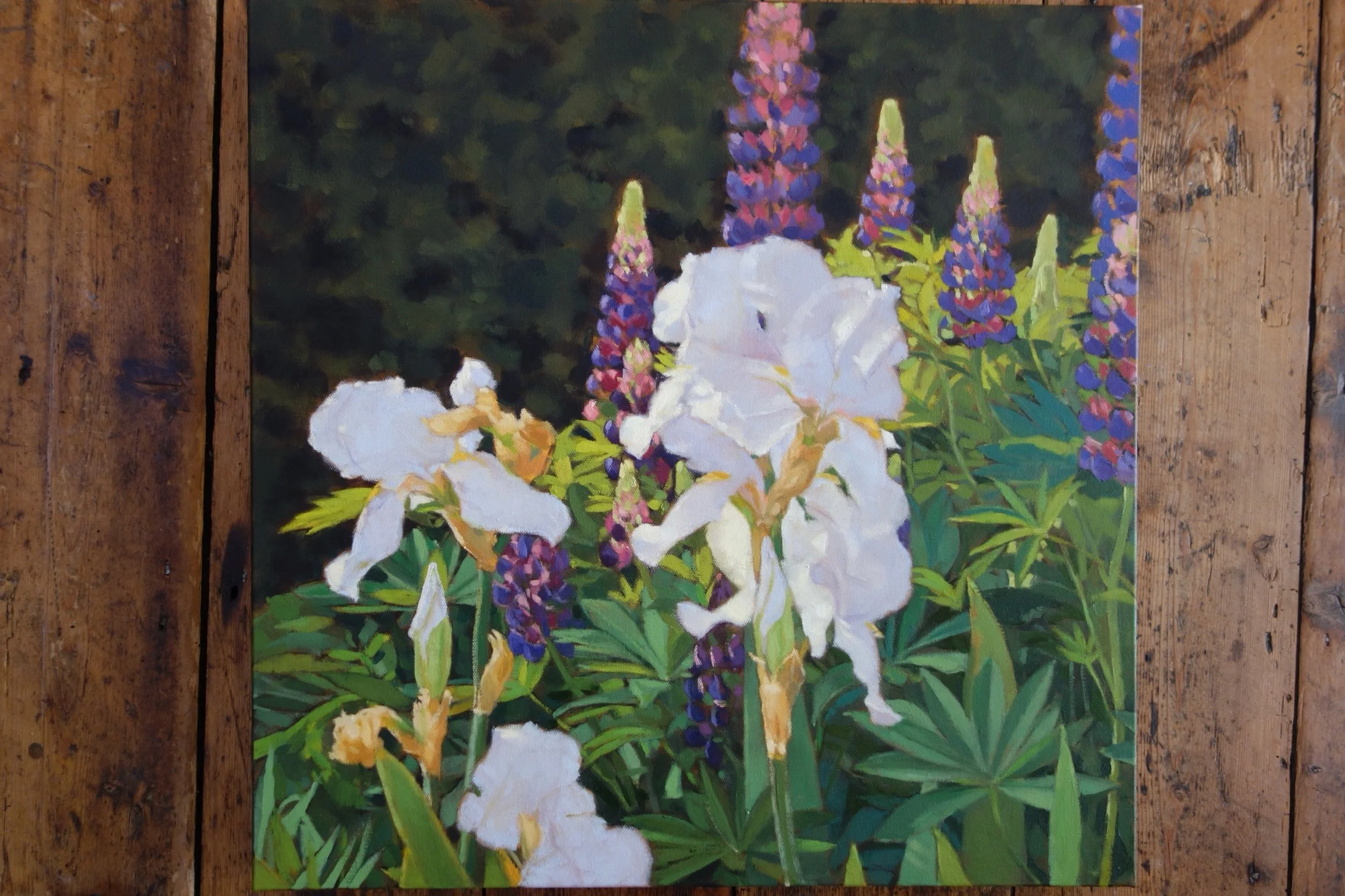 Lupins and Irises Oil 40 x 40 in