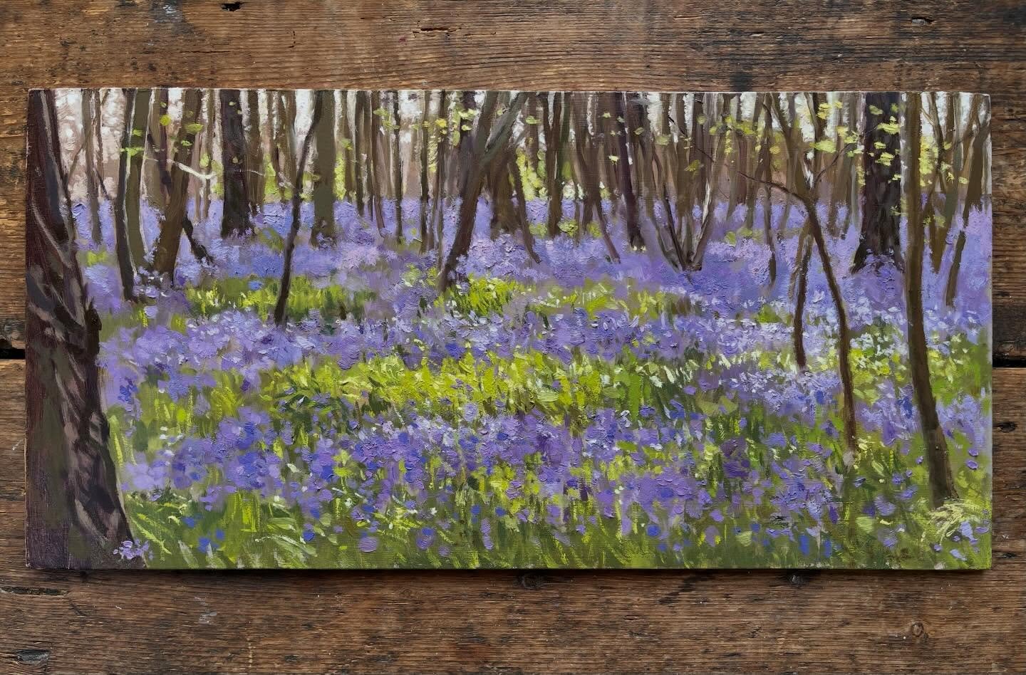 Finished my bluebells in the studio, adding some detail and a bit more depth. I hope. I just photographed it on a frame to check that it all worked, it helps. 

Bluebell Woods, Little Dunham, Oil on board, 8 x 16 inches. 

#bluebells #bluebellwoods #