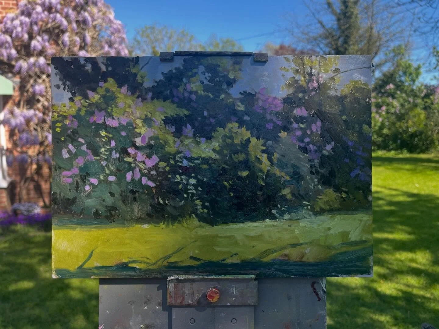 The Purple Garden, Oil on board, 8 x 12 inches. Painted on the first day of this year with the Thursday Painters in one of the artists&rsquo; garden. 

Apart from the lilac and ceanothus here there was an extravagant display of purple wisteria behind