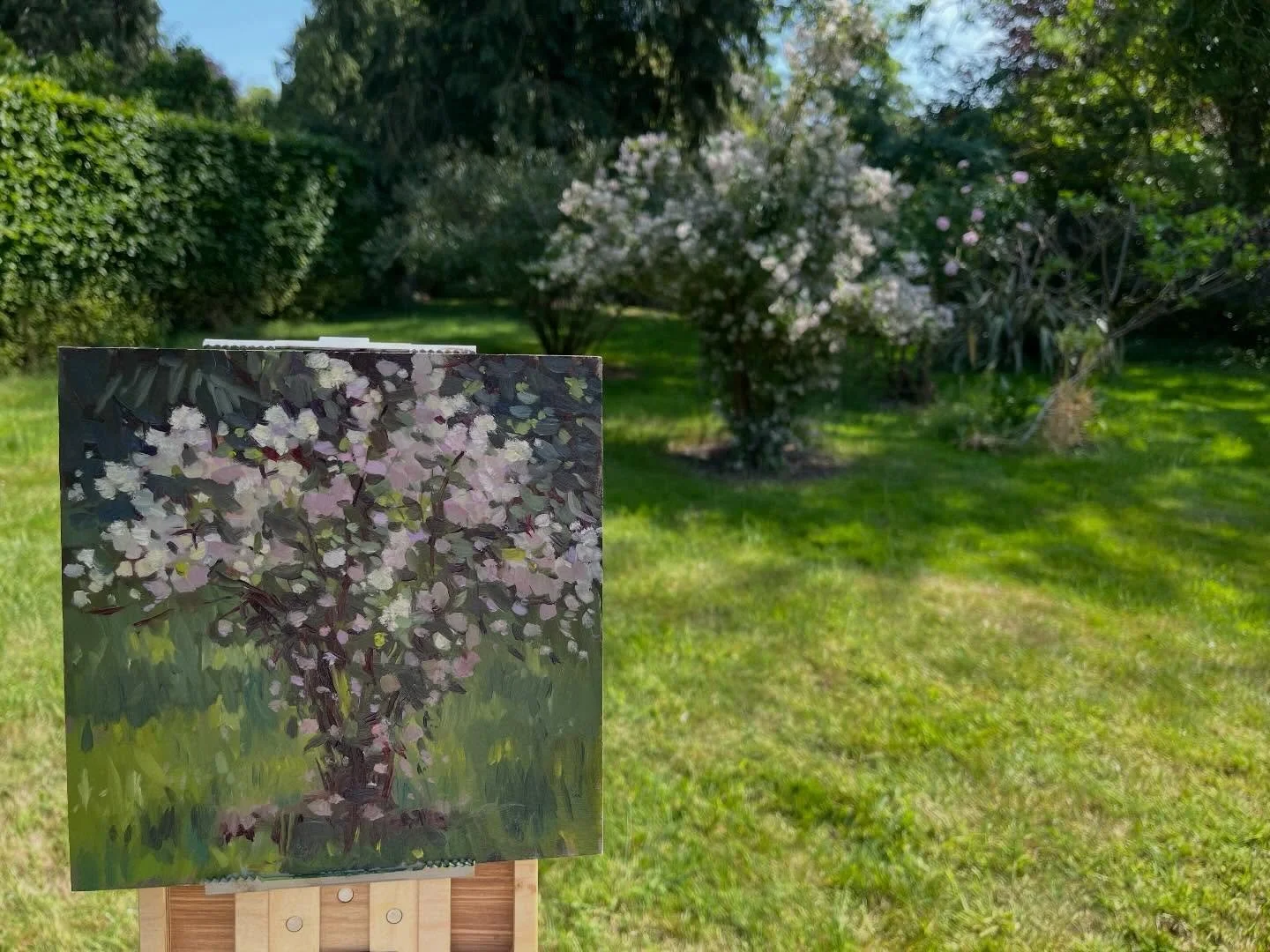 Deutzia, Oil on board, 8 x 8 inches. Painting at Seamere, a private house with lake and extensive grounds near Hingham, Norfolk. 

Of all the wonderful scenes/views to paint I chose one flowering shrub. As the light changed throughout the day I was d