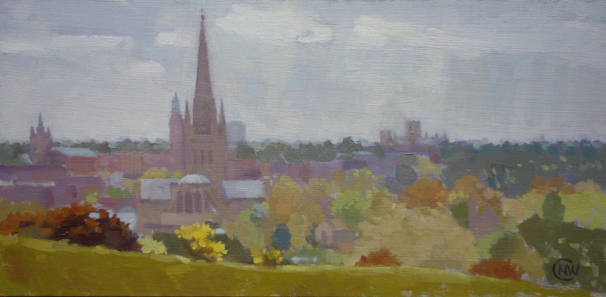 View from Mousehold Heath