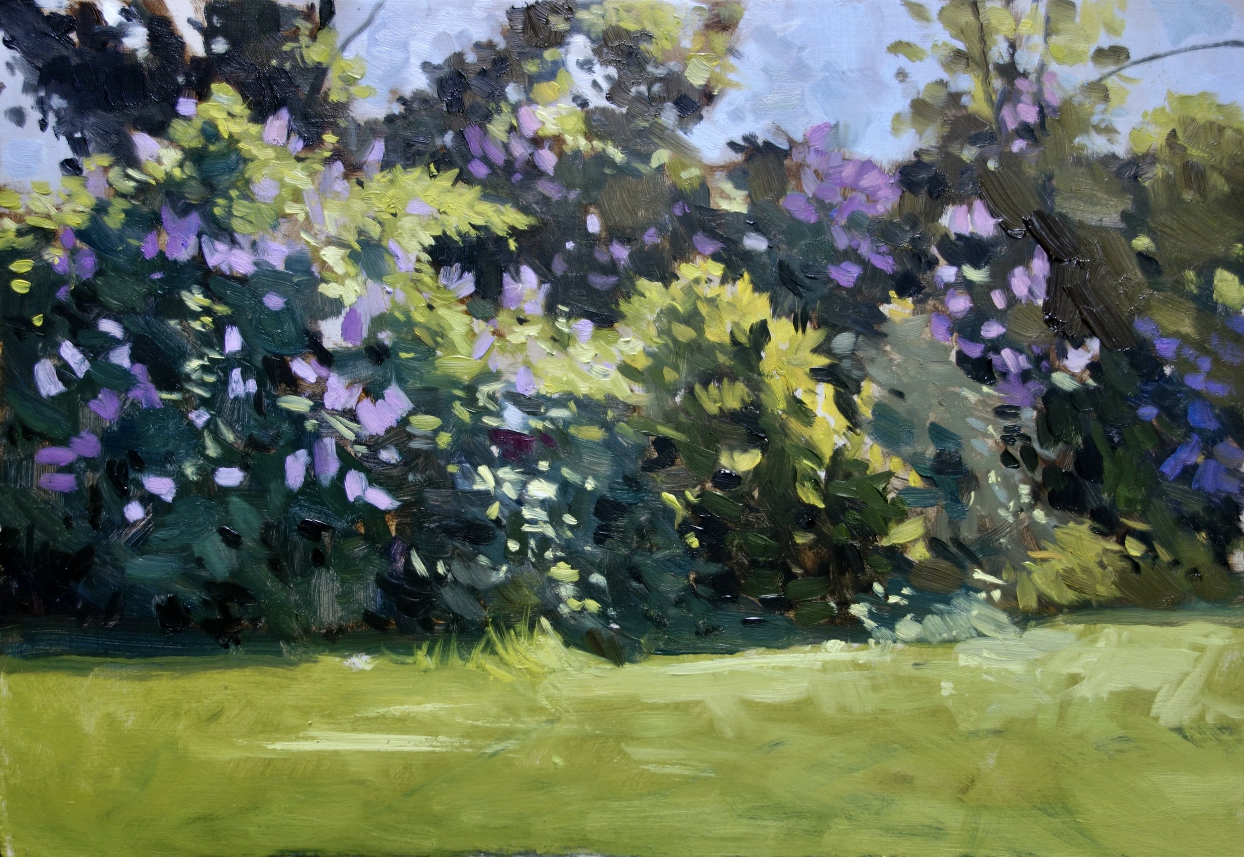 The Purple Garden Oil 12 x 8 in