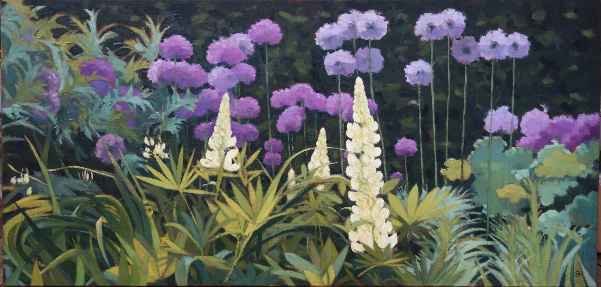 Lupins and Alliums Oil on canvas 24 x 48 in