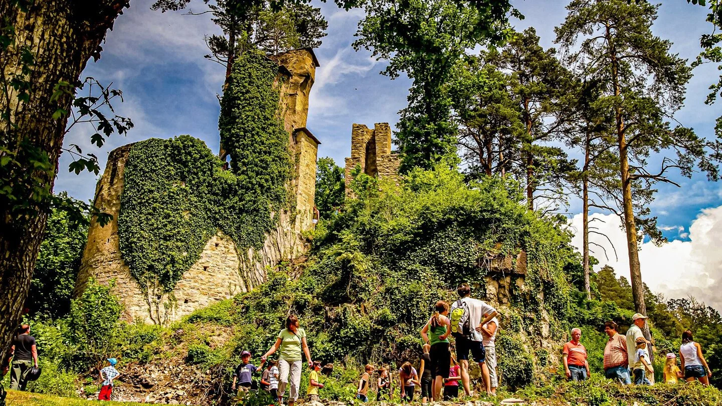 Buchpublikation zur Burg Wehrstein in Sulz-Fischingen a. N.