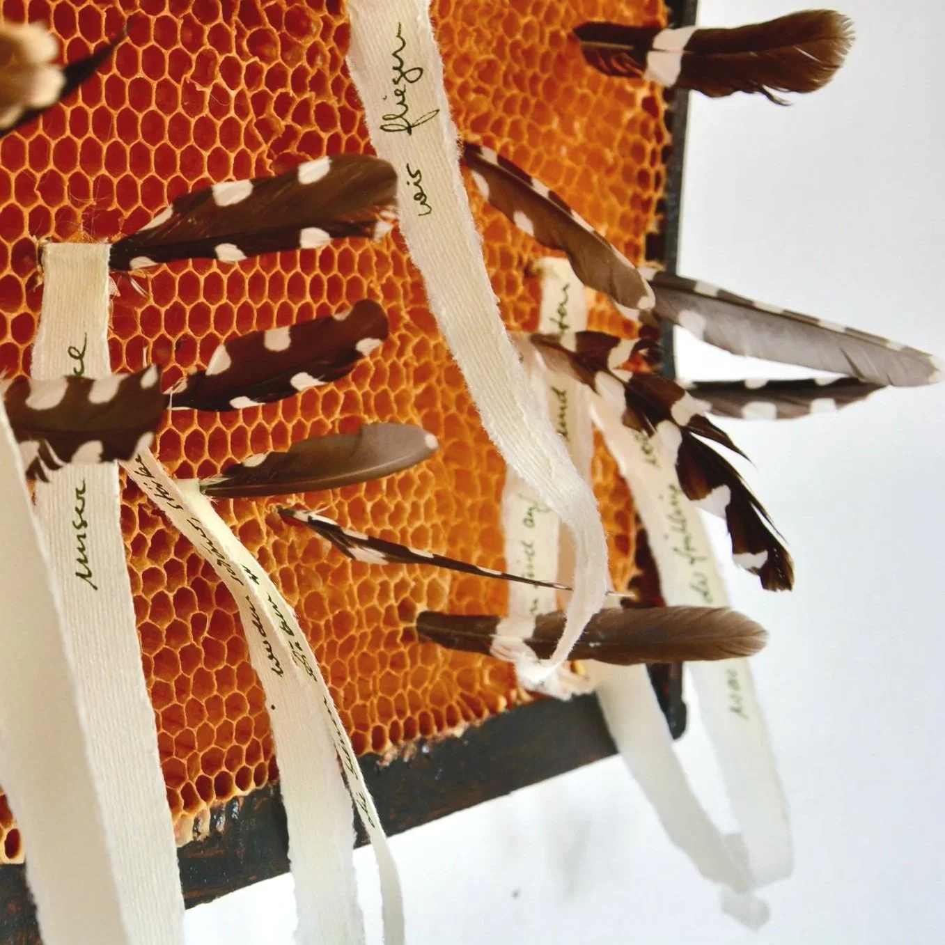 Rebecca Koellner. etwas fällt herunter und fängt an zu leben