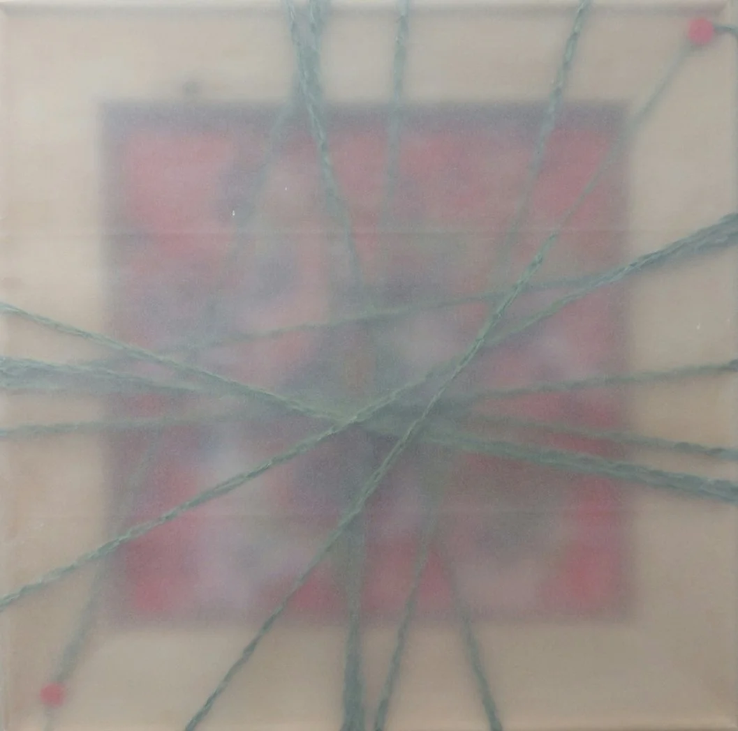 Romana Meissner . Transparenz