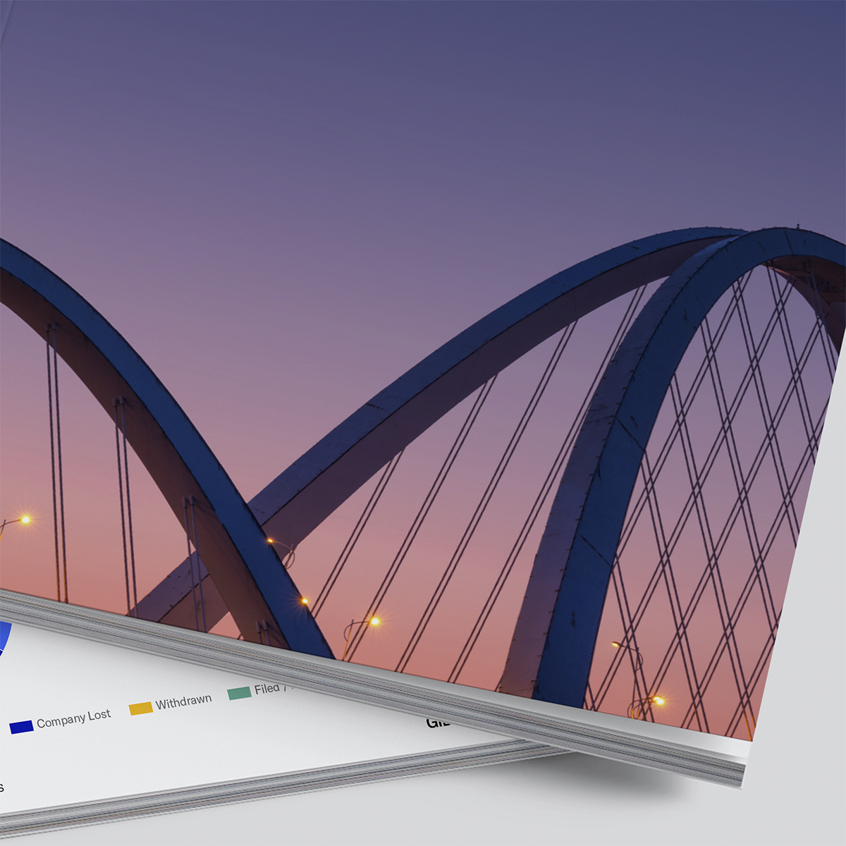 Reports & Brochure Design