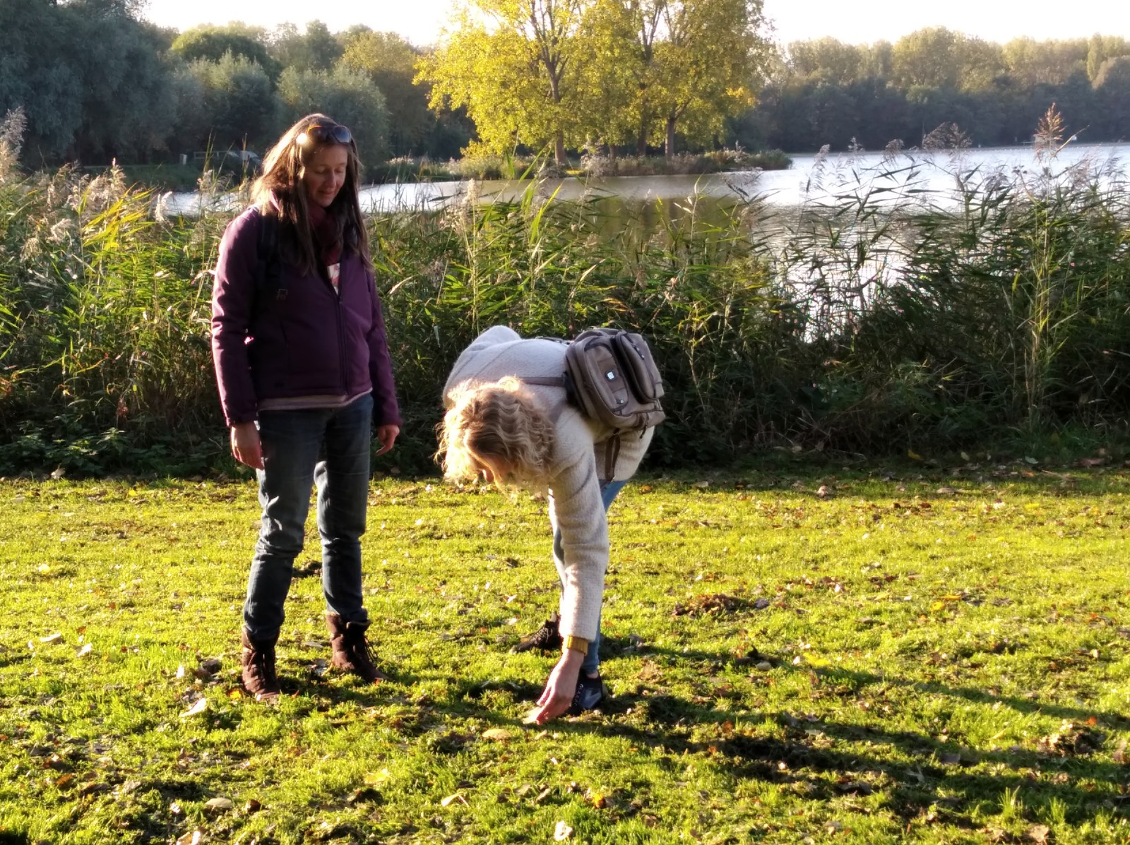 coachen in de natuur.png