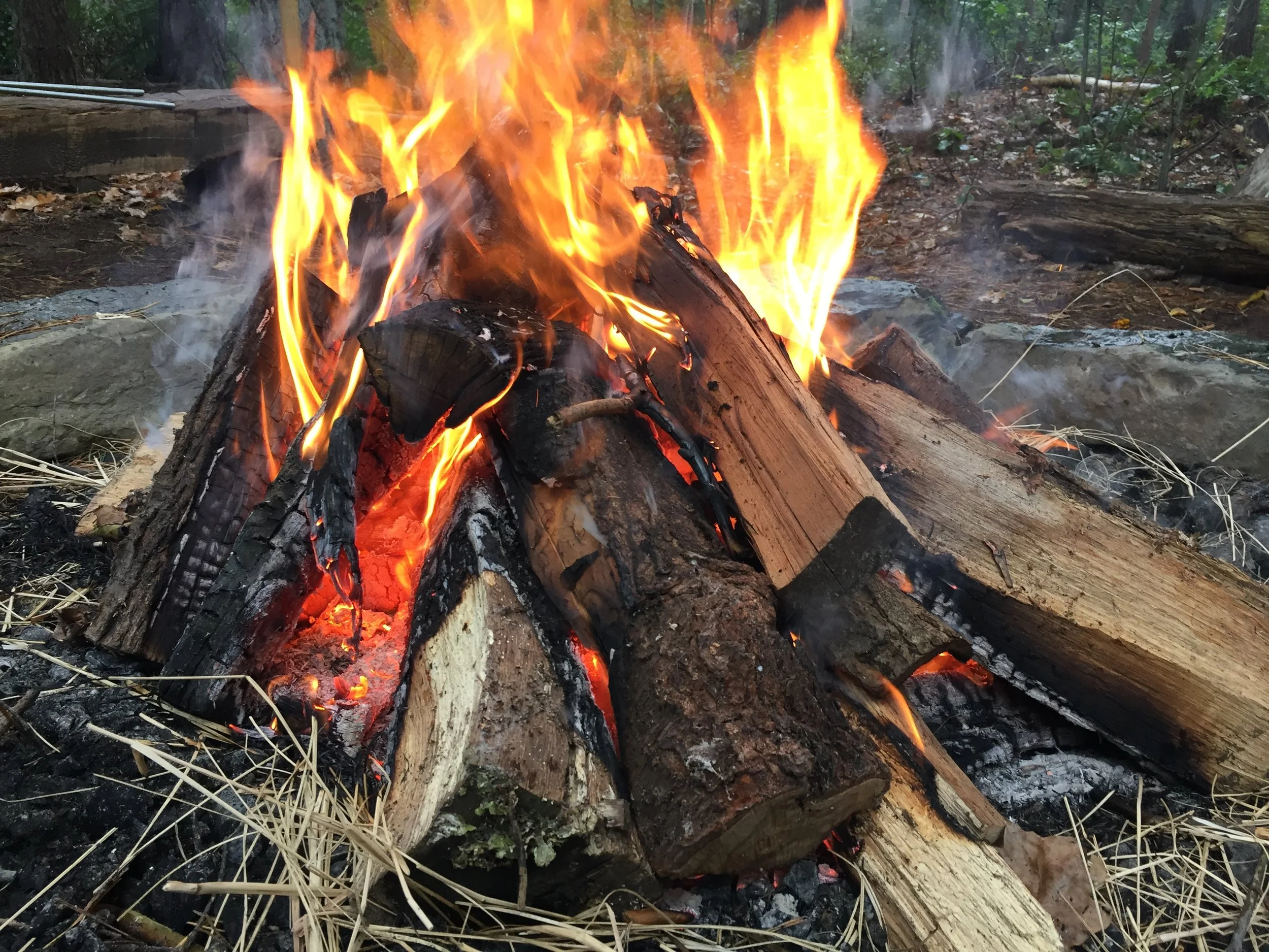 een open vuur in een tuin