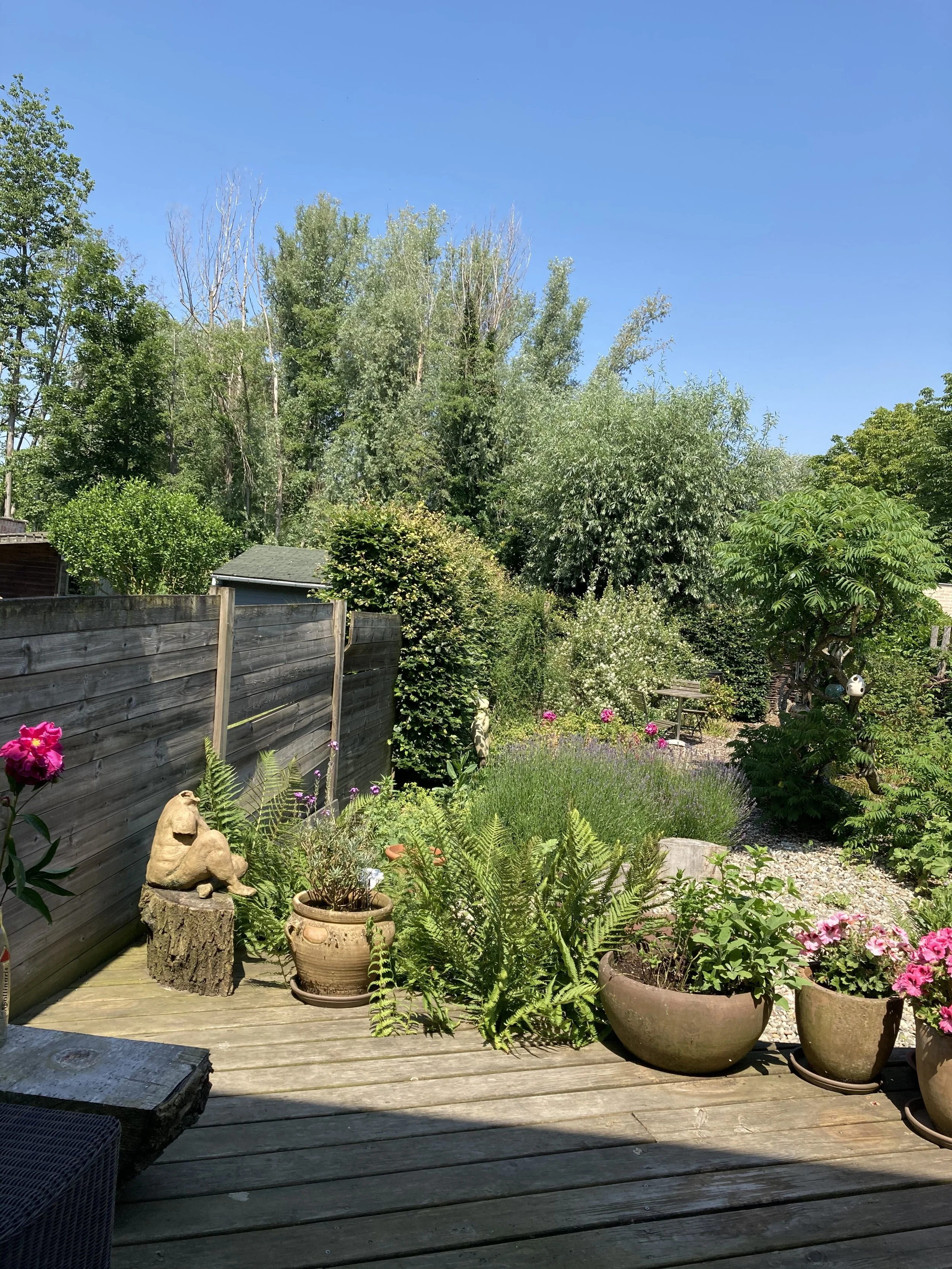 terras en tuin met potten en planten en beeld in keramiek