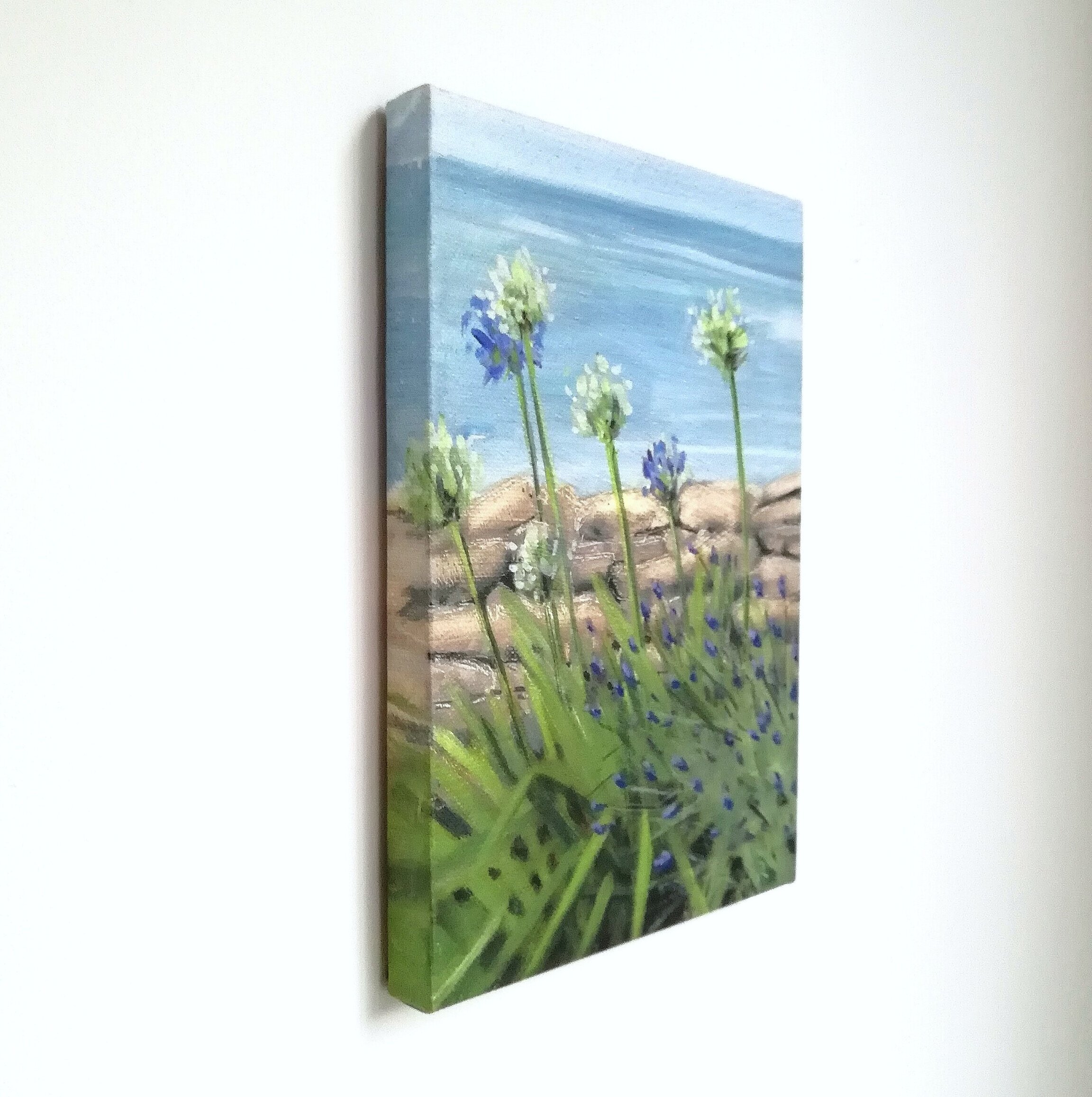 agapanthus%2Bside-01.jpeg
