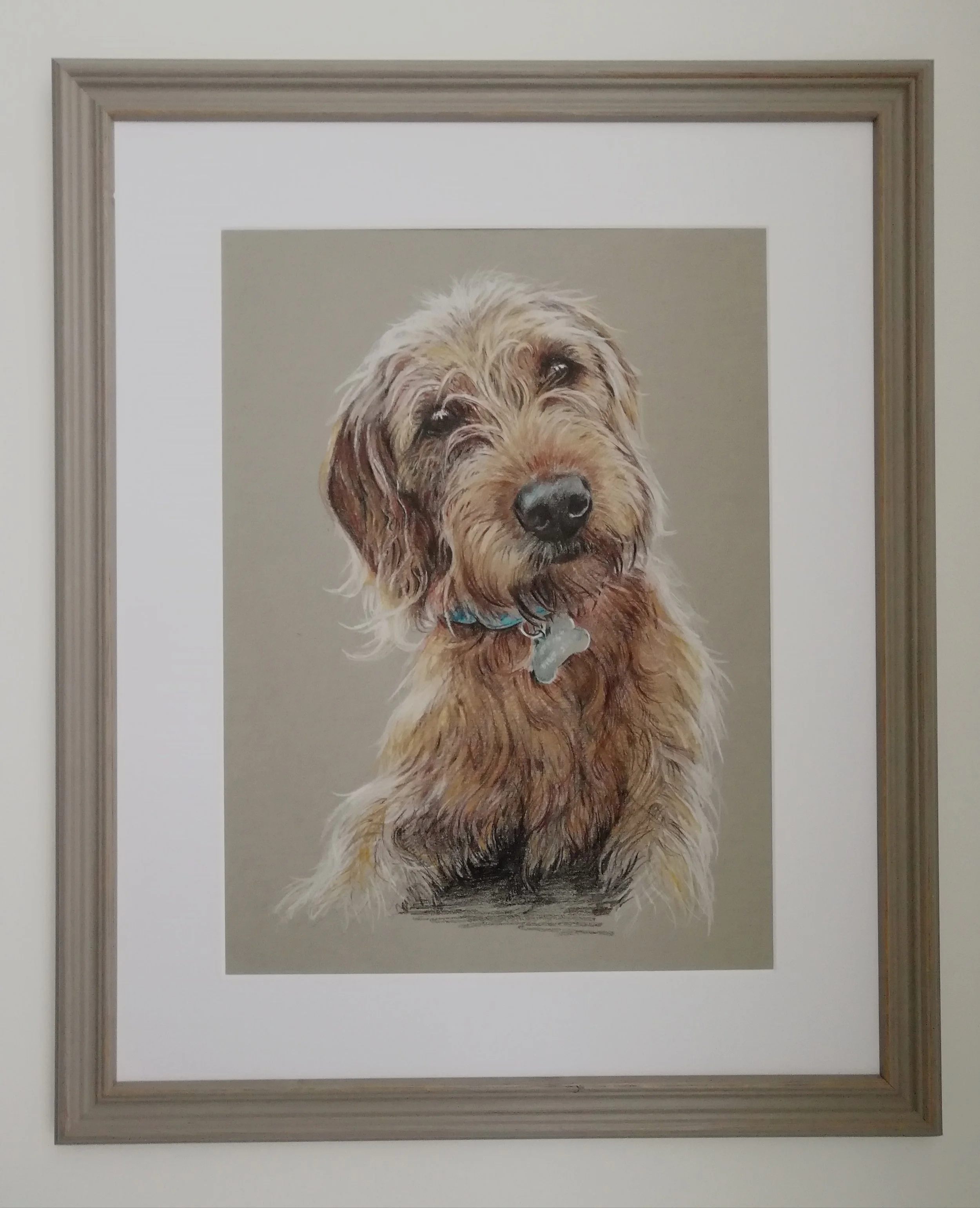 Animals — GAIL REID ARTIST