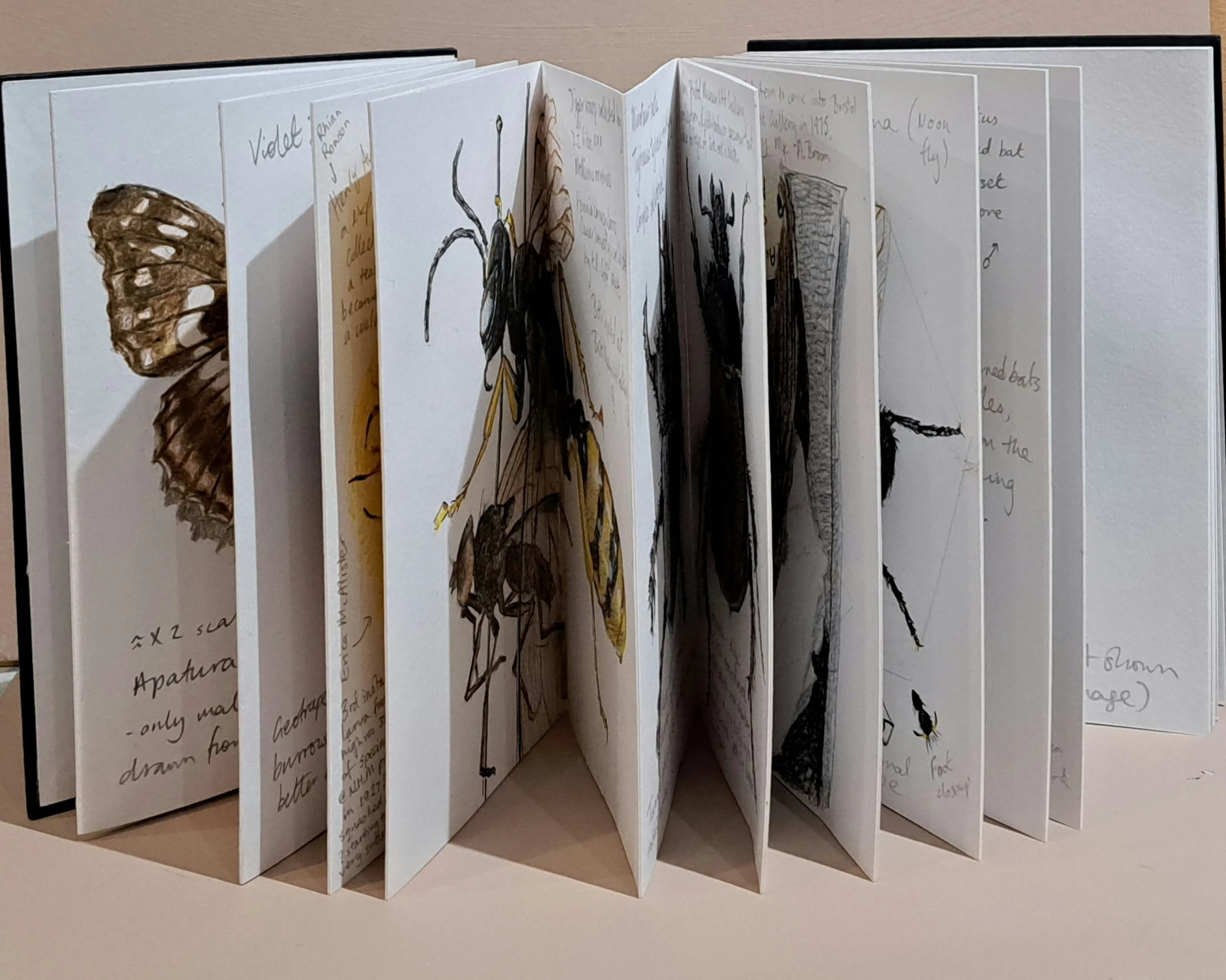 dungscape sketchbook.jpg