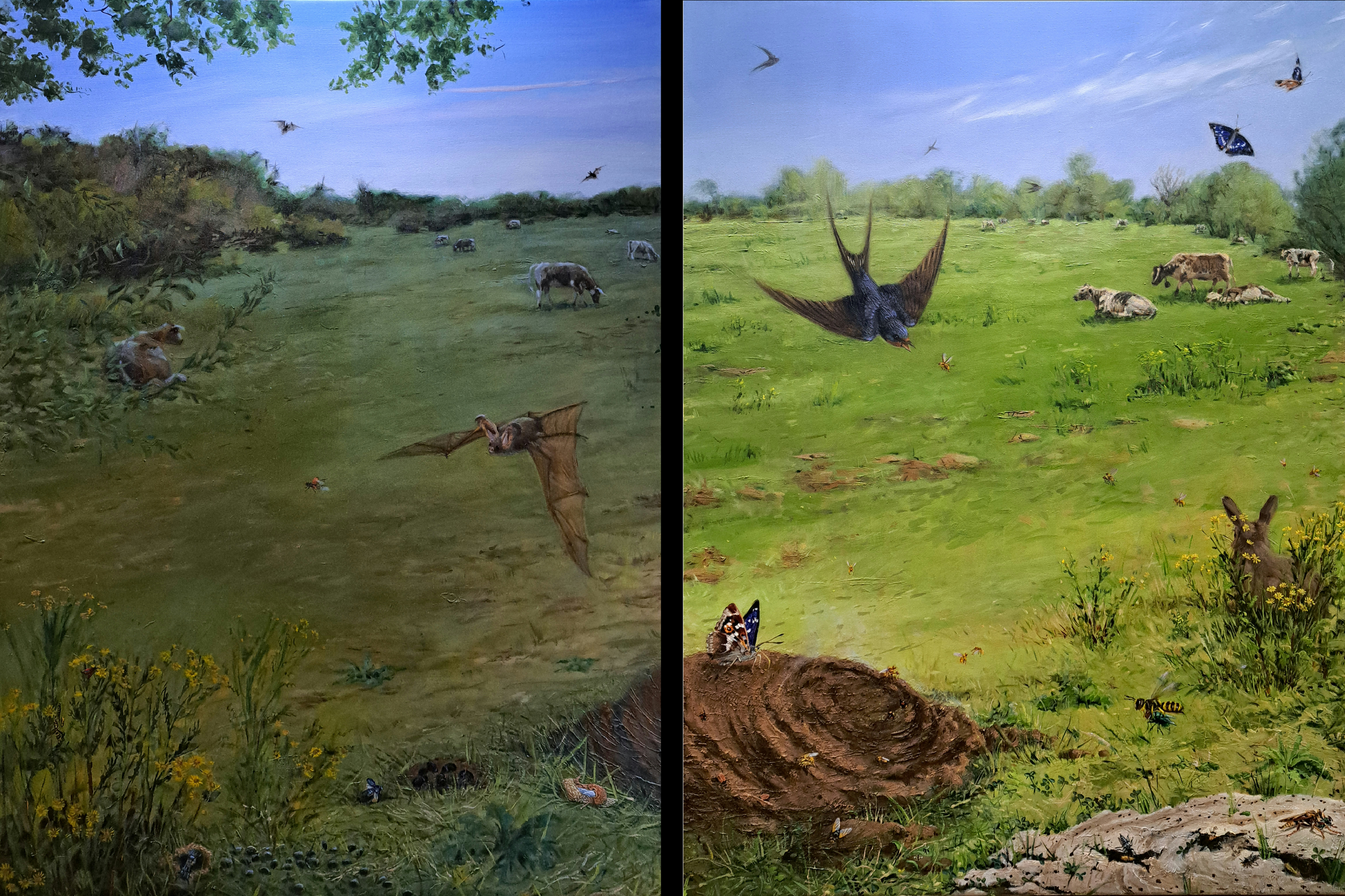 Dungscape