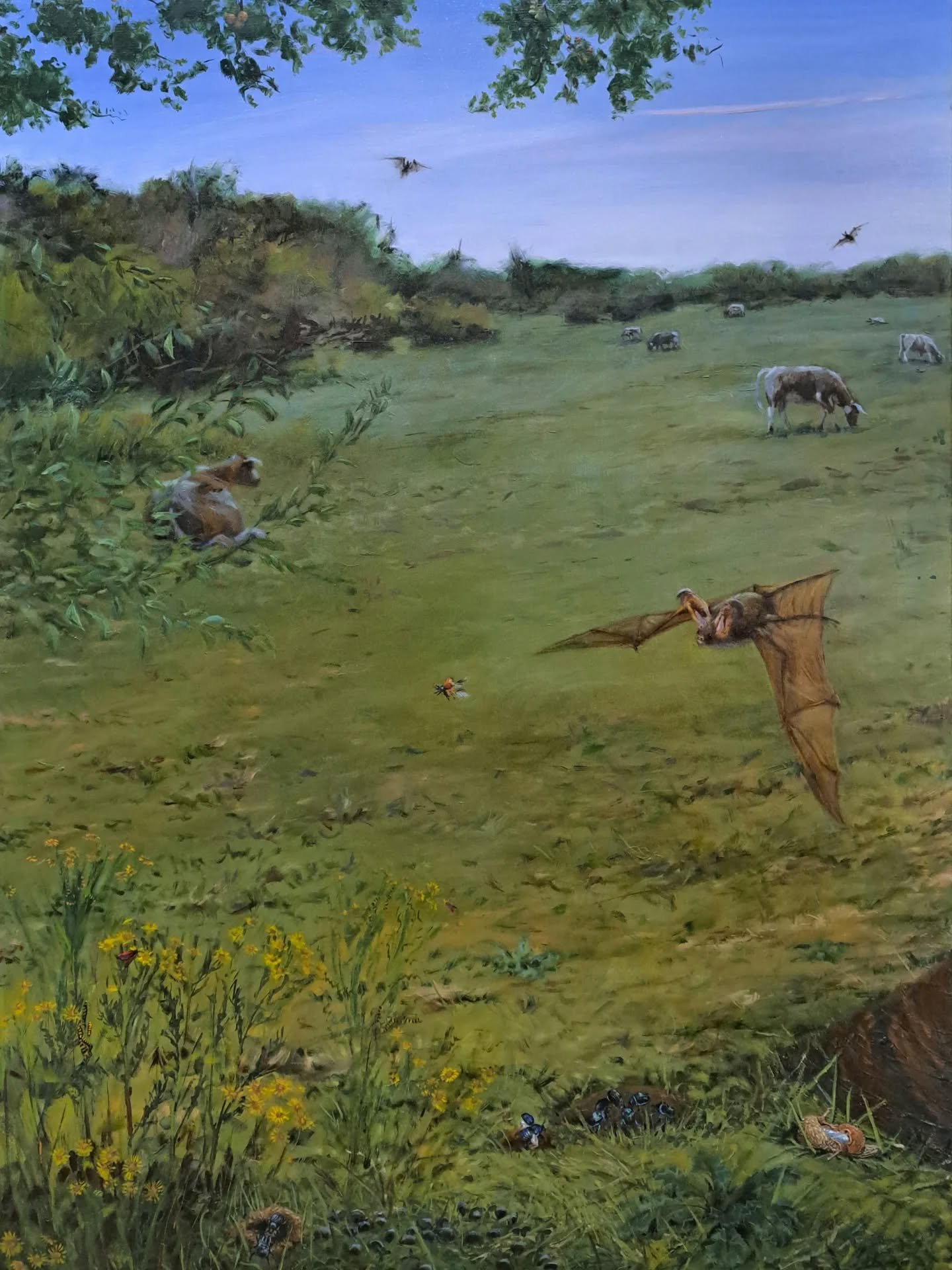 Signed and finished - the nocturnal partner to the previous post. Setting aside these two to dry, ready for varnishing and framing for the Dungscape exhibition @kneppwildingkitchen in August-September, and @societyofwildlifeartists Natural Eye 2026 i