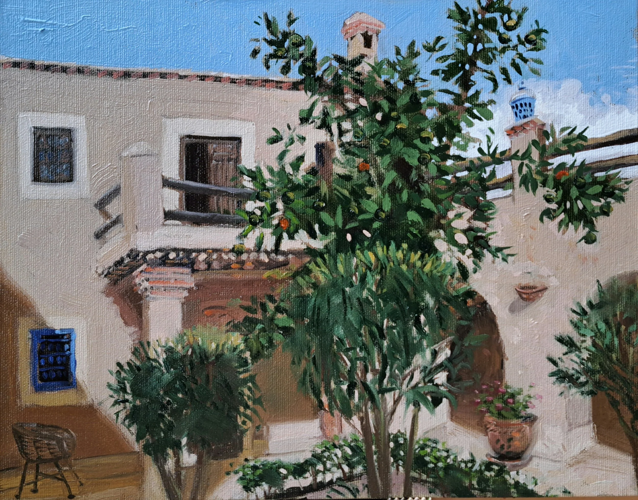 Orange tree courtyard.jpg