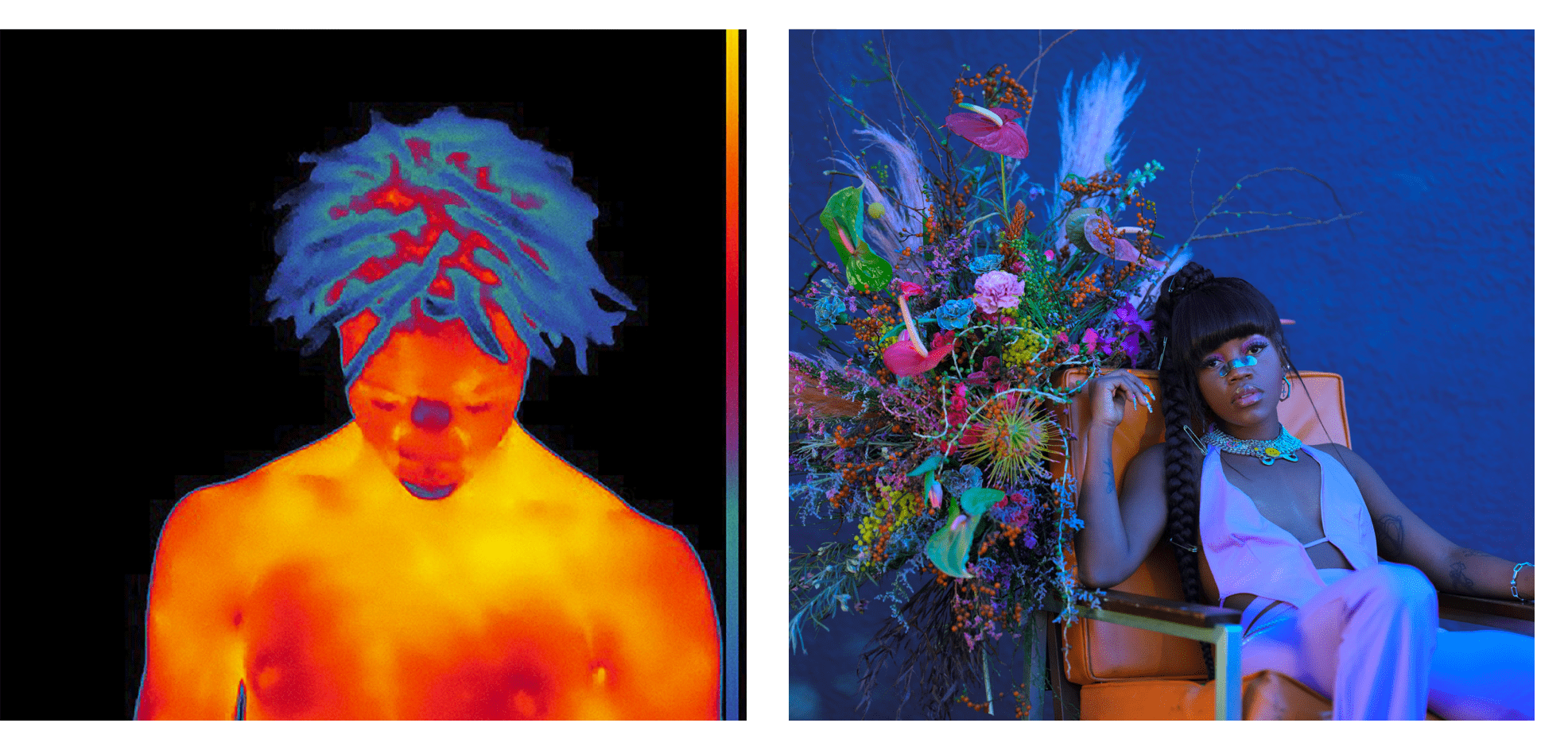 luminous gallery rosellena ramistella-min.png