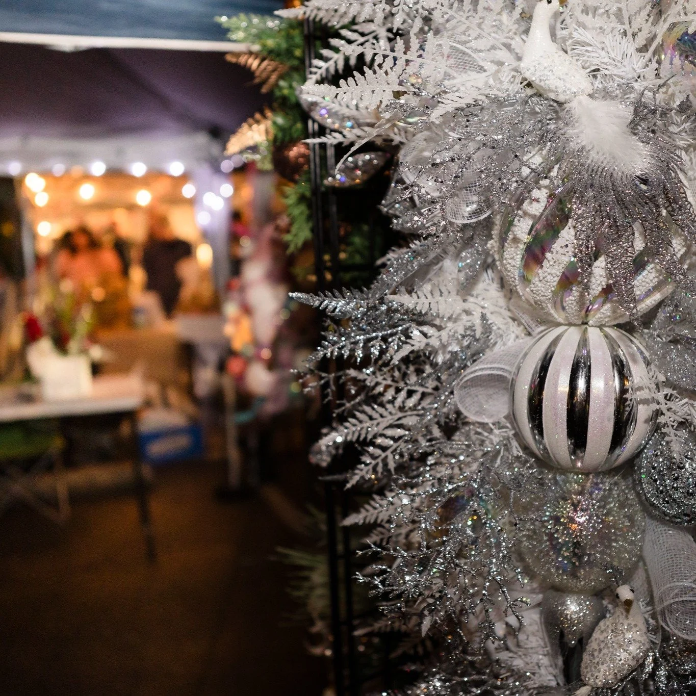 Lots of beauty and magic at Christmas in Bartlett tonight. ...and LOTS of Vendors (over 80 booths to shop with and support). Come back tomorrow from 9am-4pm to shop, shop, shop! 

We will have performances throughout the day, kids' activities running