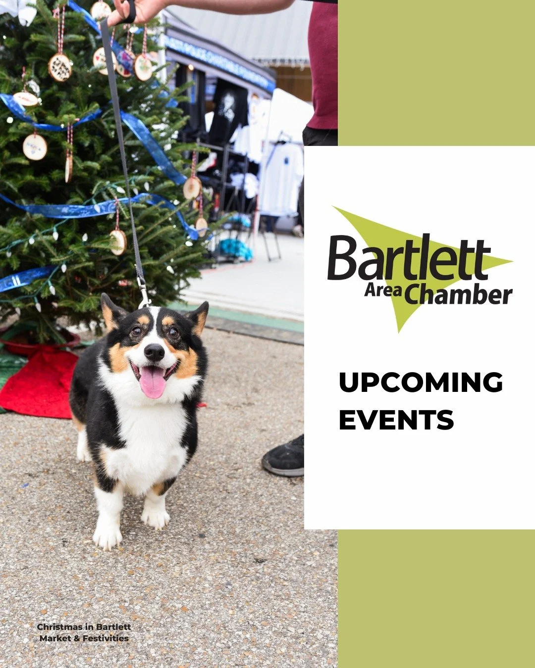Happy Friday and @cityofbartletttn Christmas Parade Eve! 

We're looking forward to a festive weekend, but before we *slam laptop shut until Monday* here are a few upcoming events to add to your calendar brought to you by Unus who stopped by our Chri