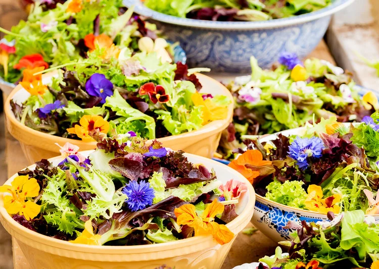 Sunflower Kitchen Somerset Party Caterers