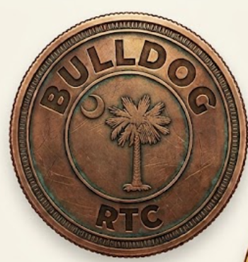 Bronze Sponsor