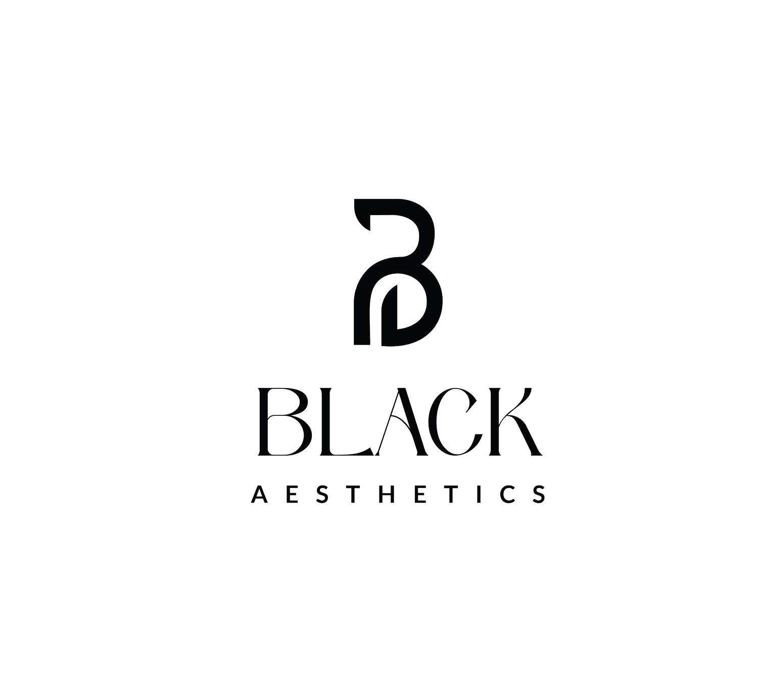 BLACK AESTHETICS 