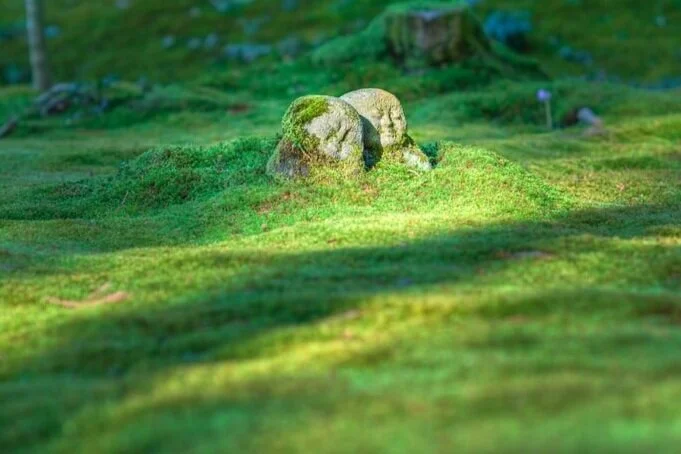 statuesinmoss.jpeg