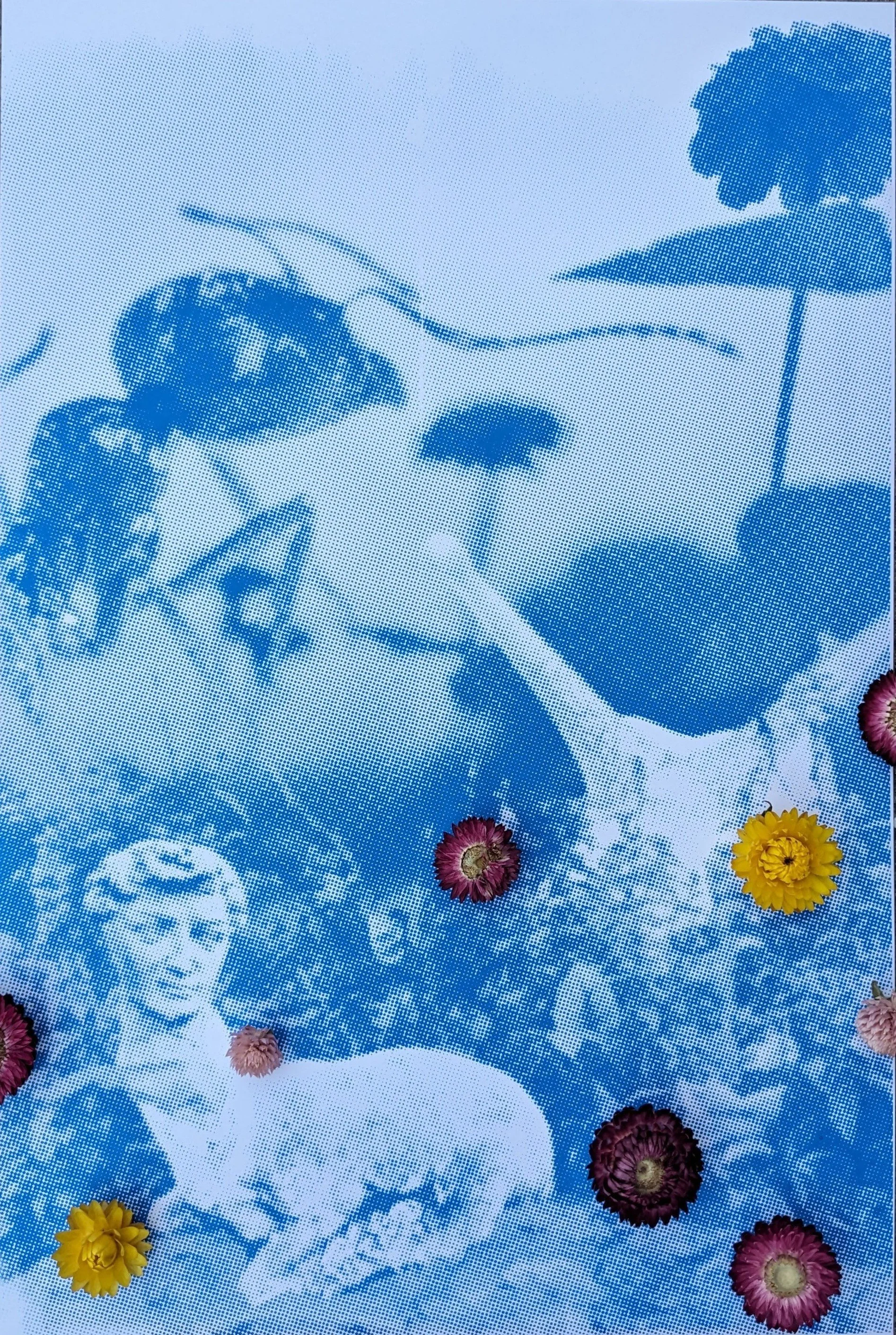 garden grow scan.jpg