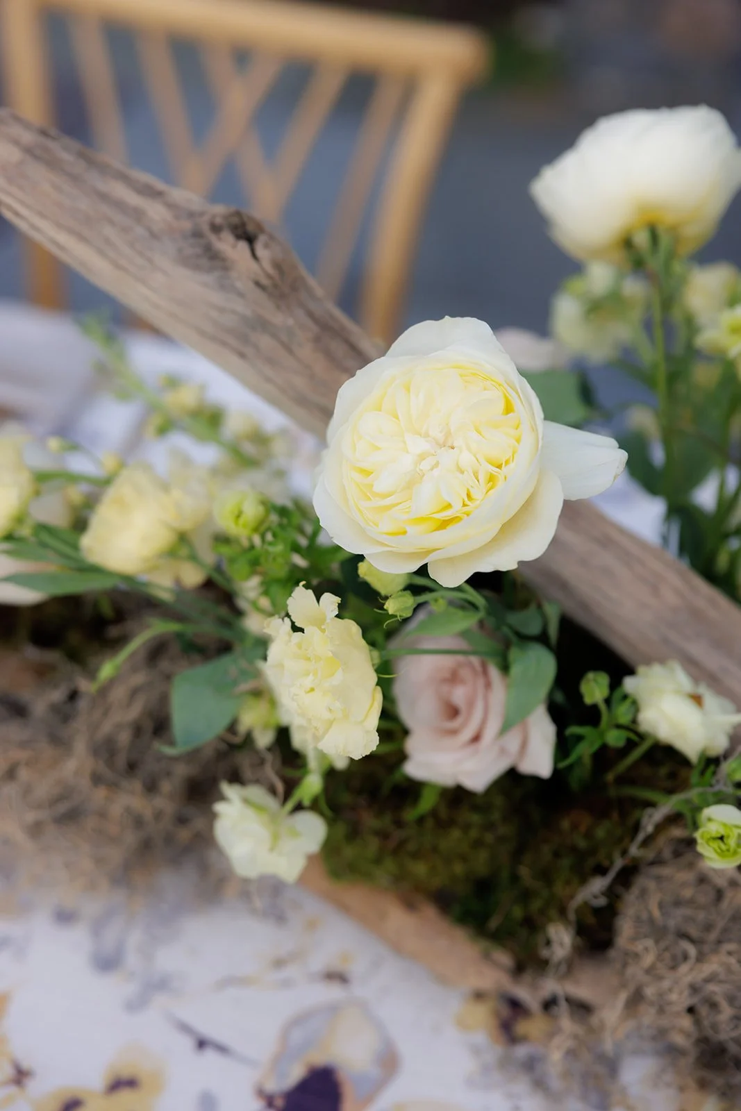 JaneIredale-TheSkincareMakeup-AbigailFentonPhotography-RootedinTheBerkshiresSummer-DinnerPartyatTheKemble-Lenox (82 of 402).jpeg