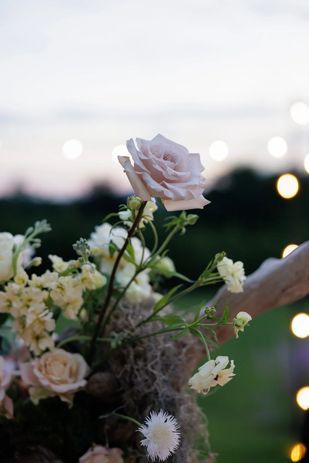 JaneIredale-TheSkincareMakeup-AbigailFentonPhotography-RootedinTheBerkshiresSummer-DinnerPartyatTheKemble-Lenox (307 of 402).jpeg