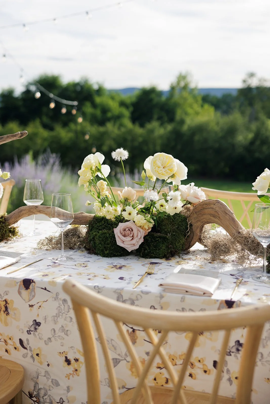 JaneIredale-TheSkincareMakeup-AbigailFentonPhotography-RootedinTheBerkshiresSummer-DinnerPartyatTheKemble-Lenox (22 of 402).jpeg