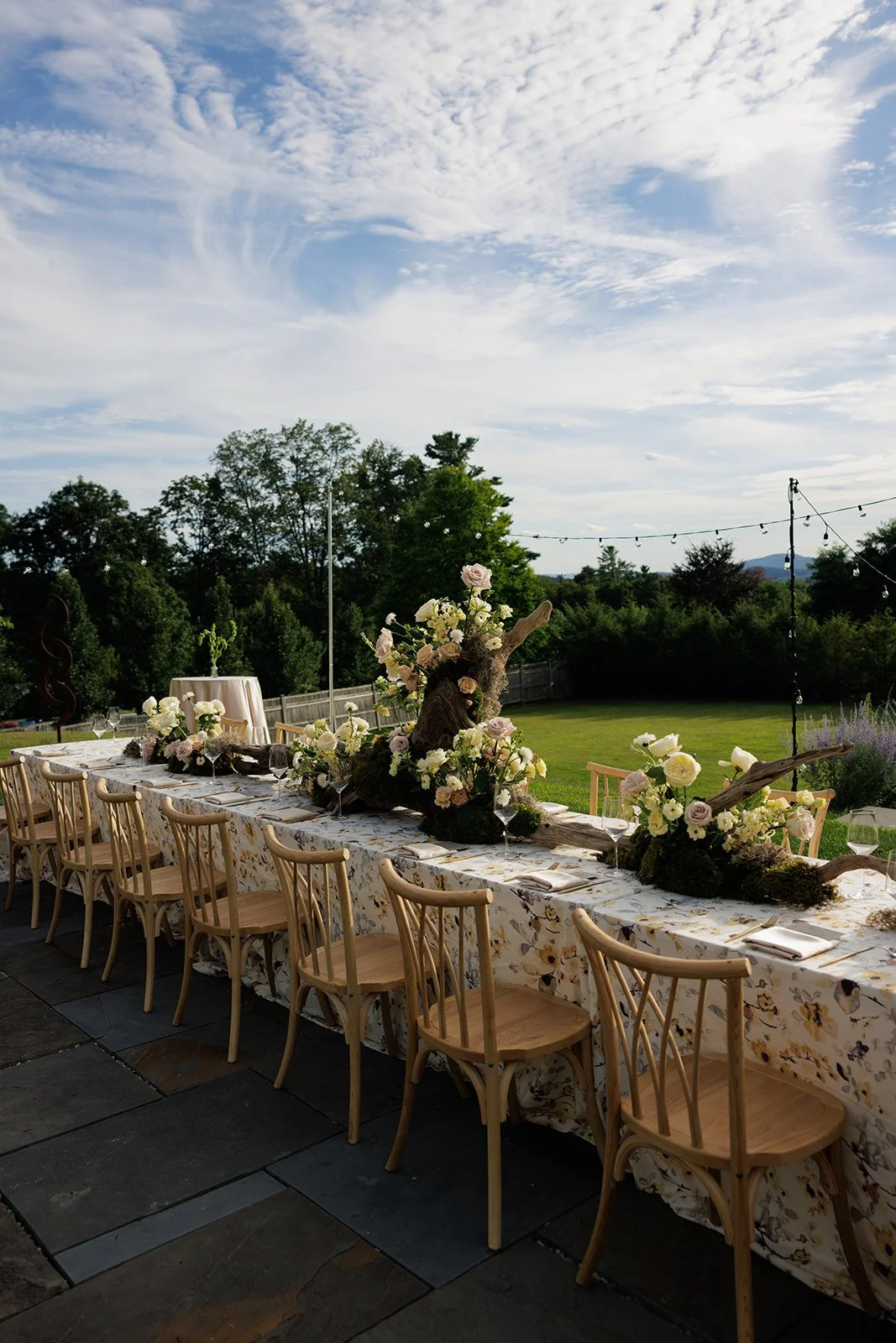 JaneIredale-TheSkincareMakeup-AbigailFentonPhotography-RootedinTheBerkshiresSummer-DinnerPartyatTheKemble-Lenox (19 of 402).jpeg