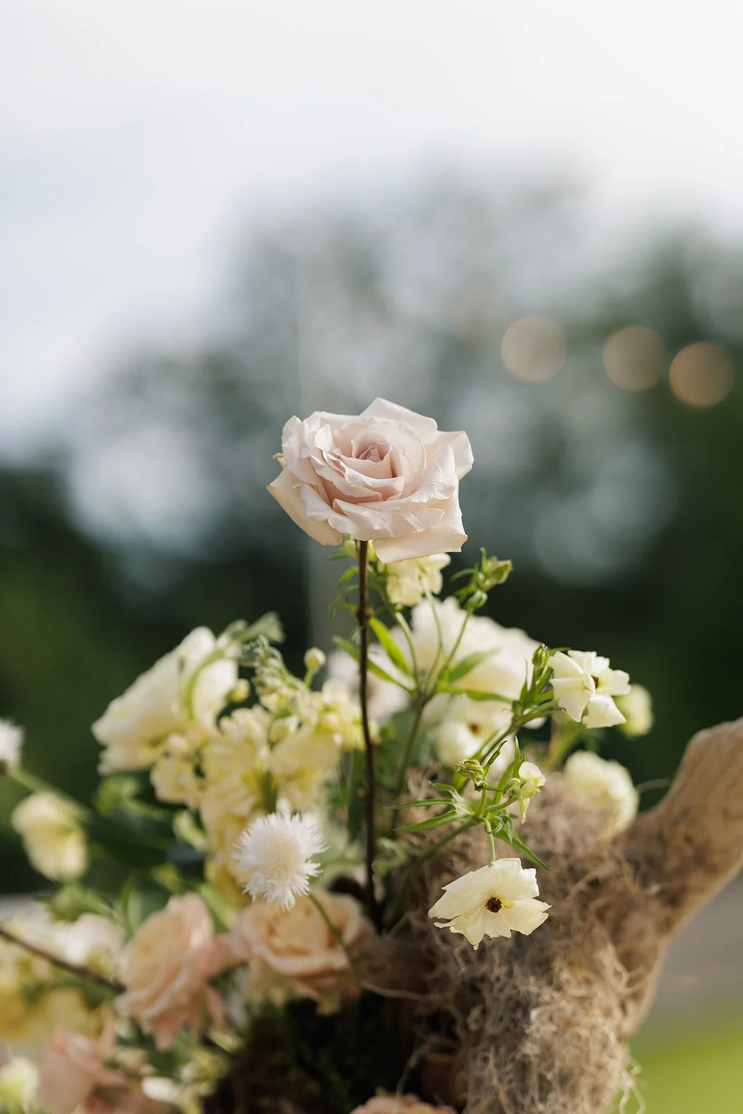 JaneIredale-TheSkincareMakeup-AbigailFentonPhotography-RootedinTheBerkshiresSummer-DinnerPartyatTheKemble-Lenox (8 of 402).jpeg