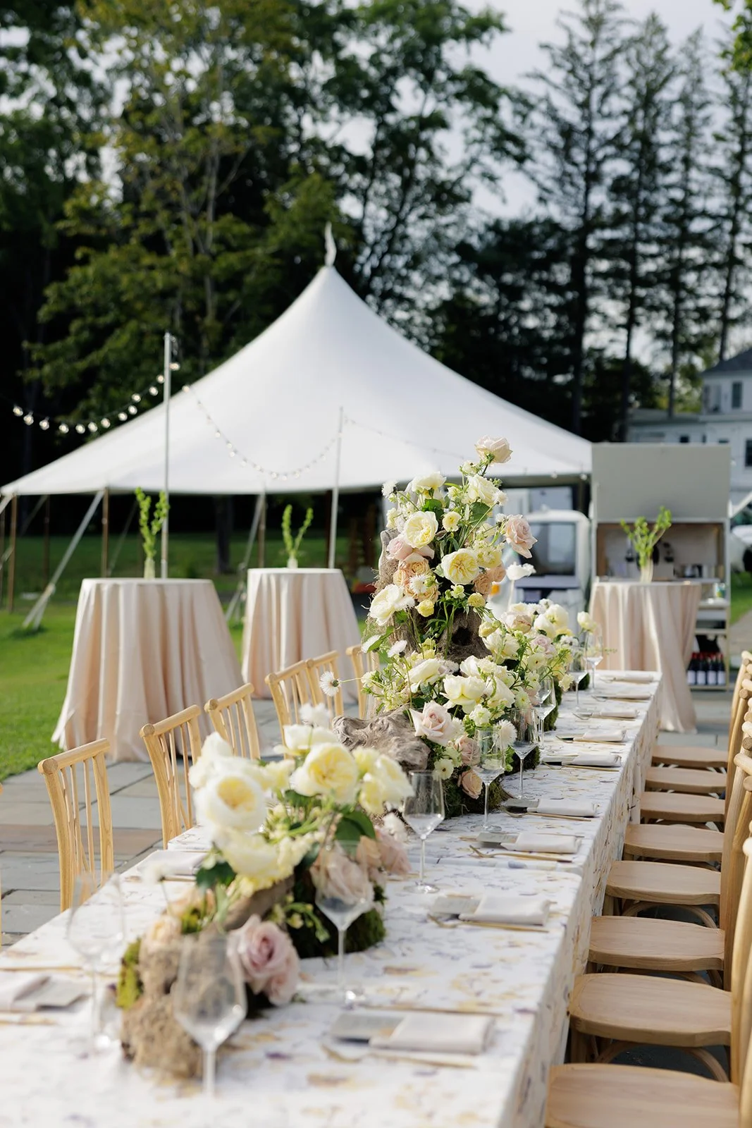 JaneIredale-TheSkincareMakeup-AbigailFentonPhotography-RootedinTheBerkshiresSummer-DinnerPartyatTheKemble-Lenox (24 of 402).jpeg