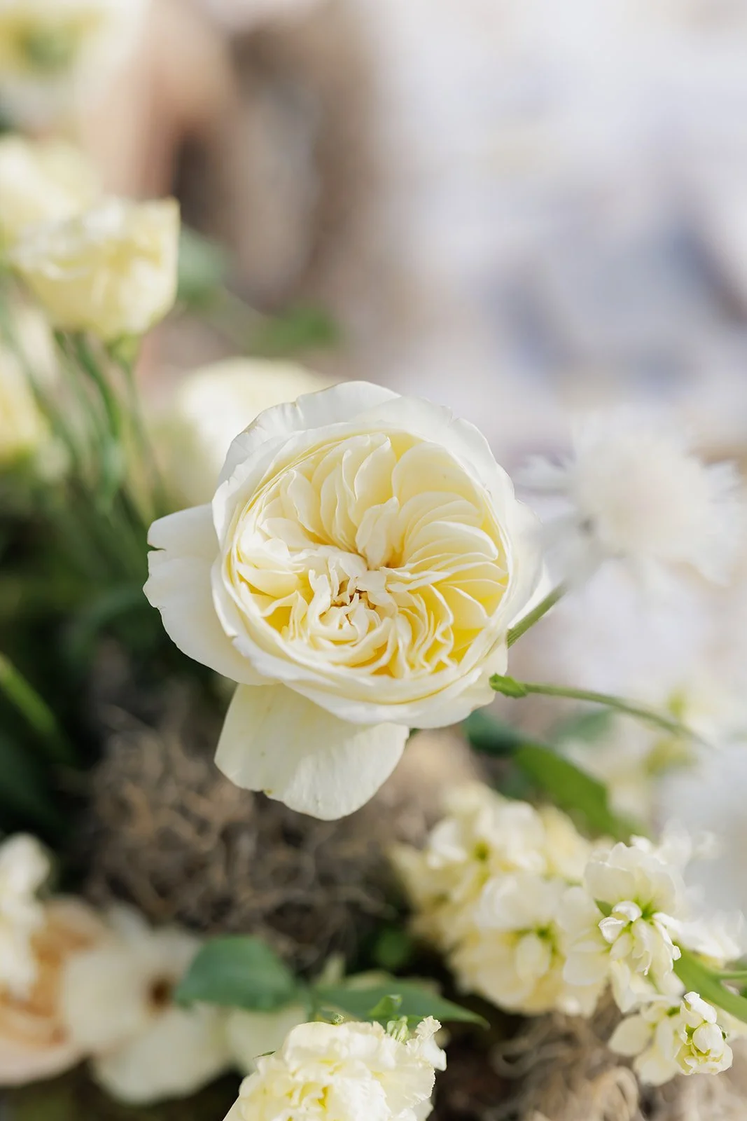 JaneIredale-TheSkincareMakeup-AbigailFentonPhotography-RootedinTheBerkshiresSummer-DinnerPartyatTheKemble-Lenox (6 of 402).jpeg