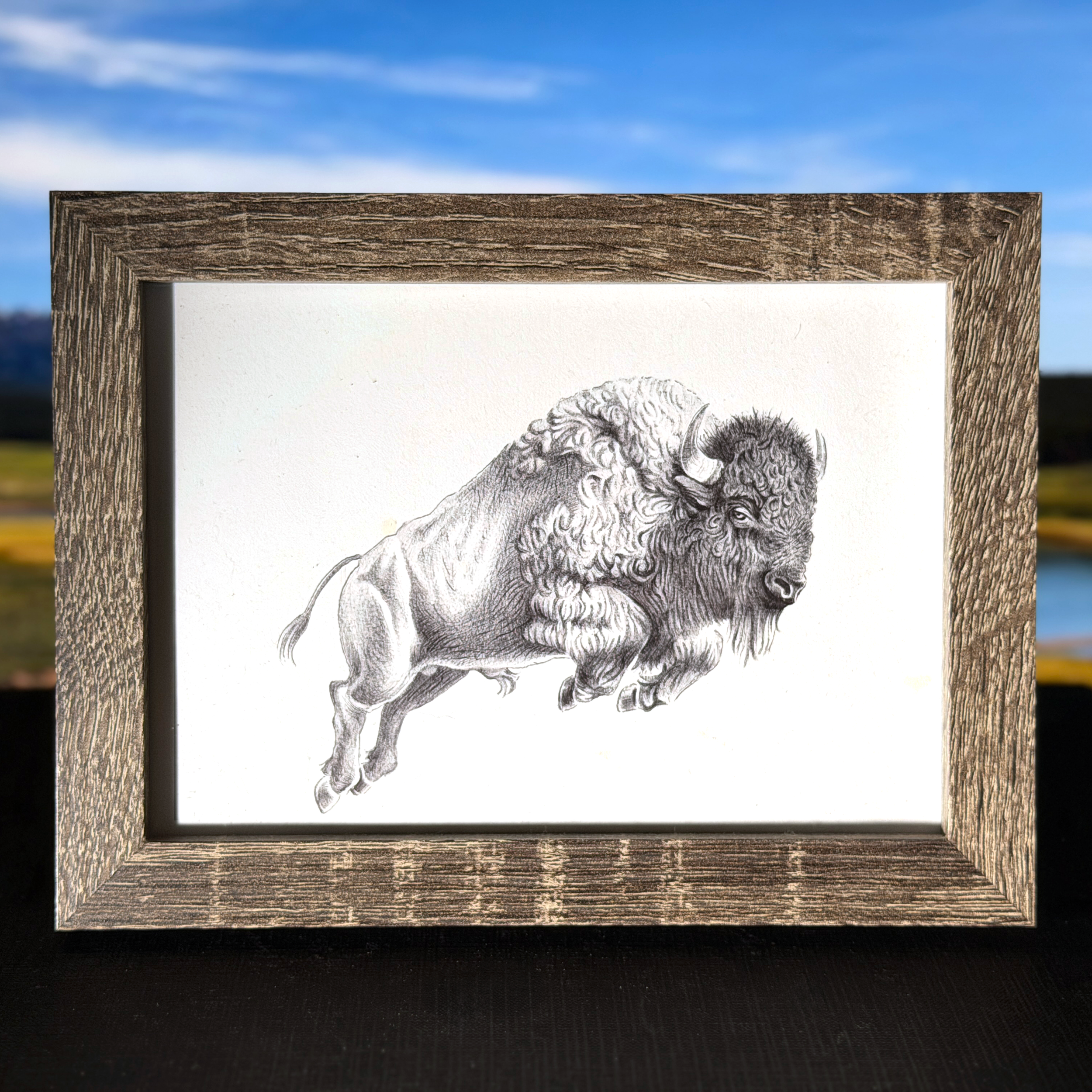 yellowstone.png