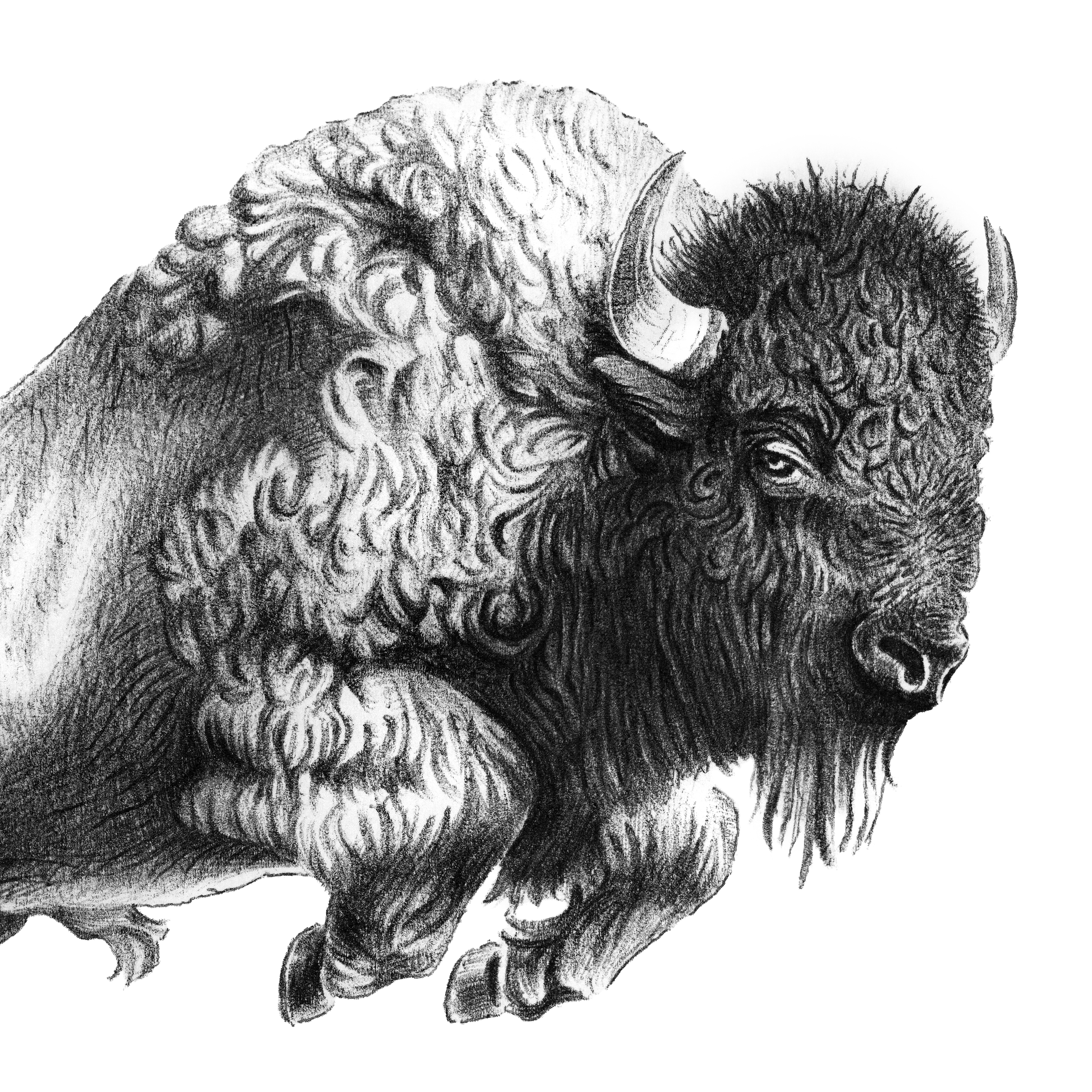 yellowstone3.png