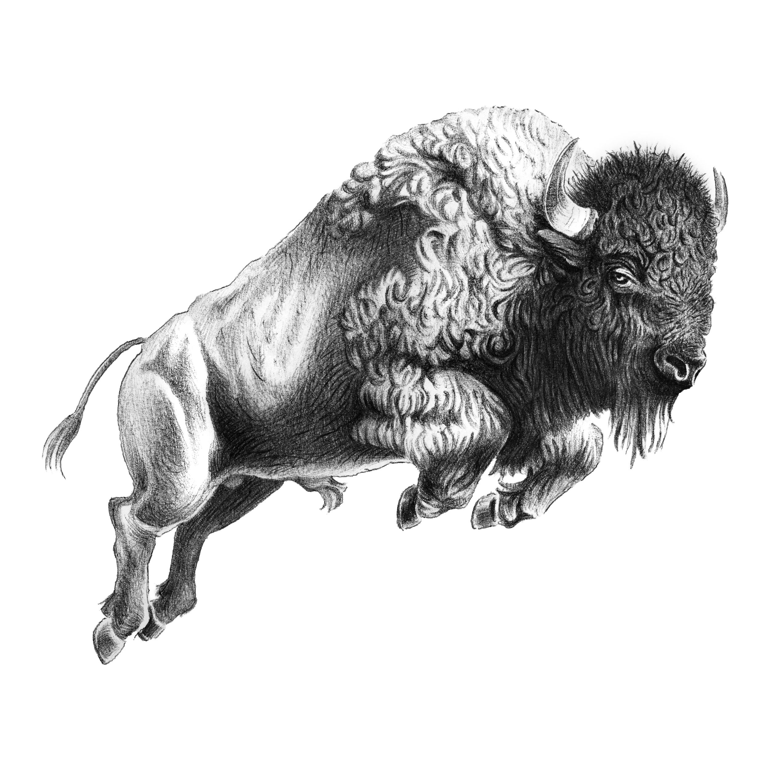 yellowstone2.png