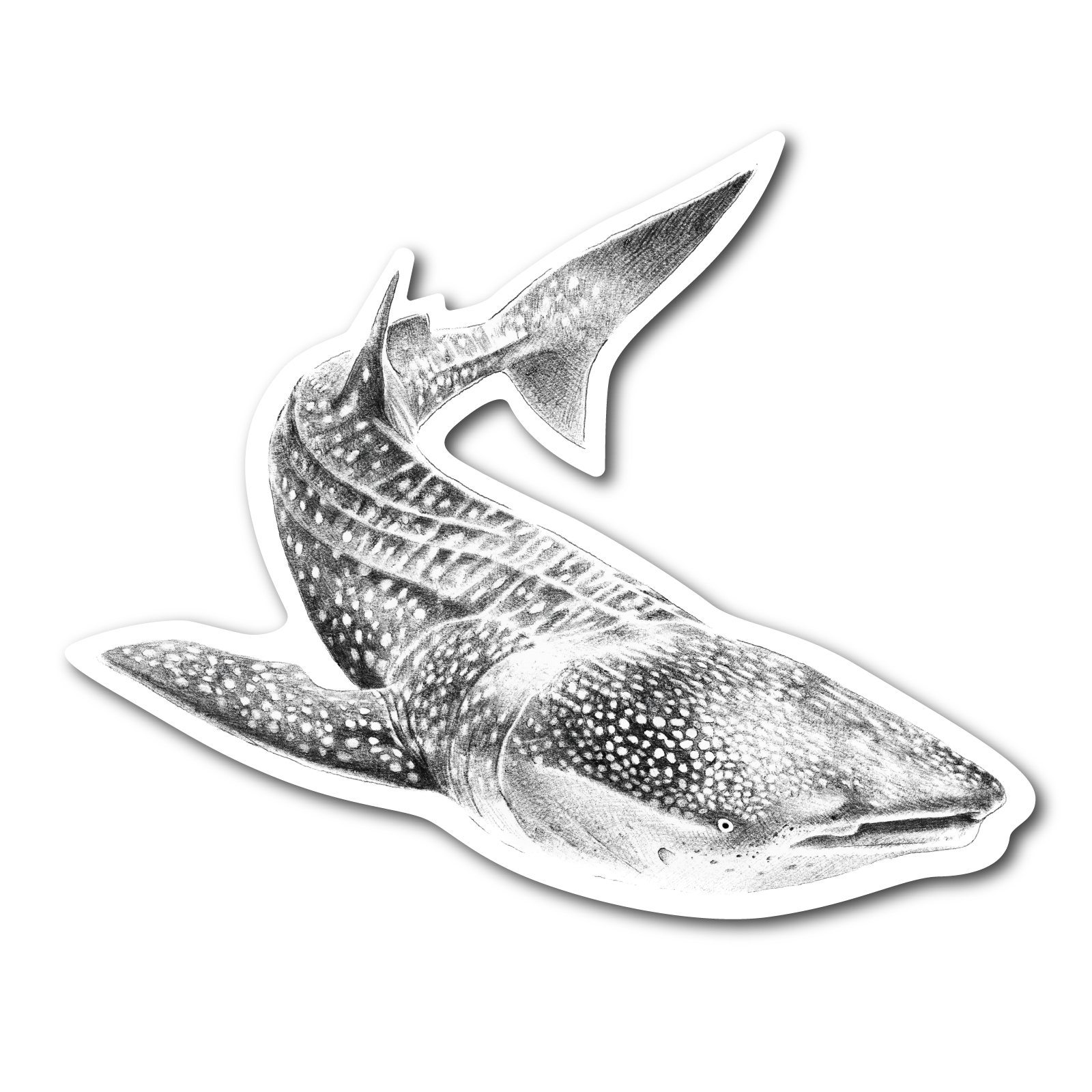 Georgia-Aquarium.png
