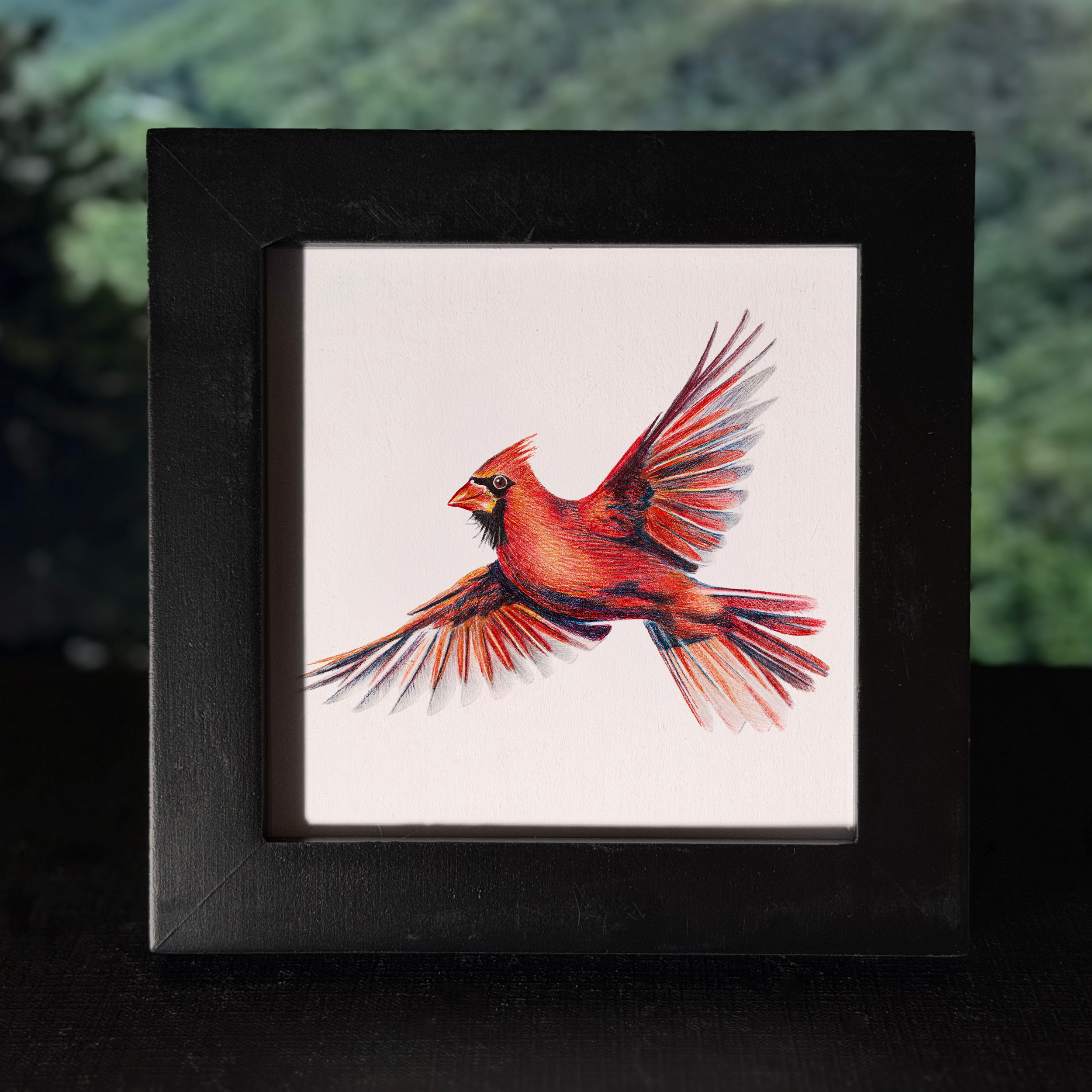 cardinal.png
