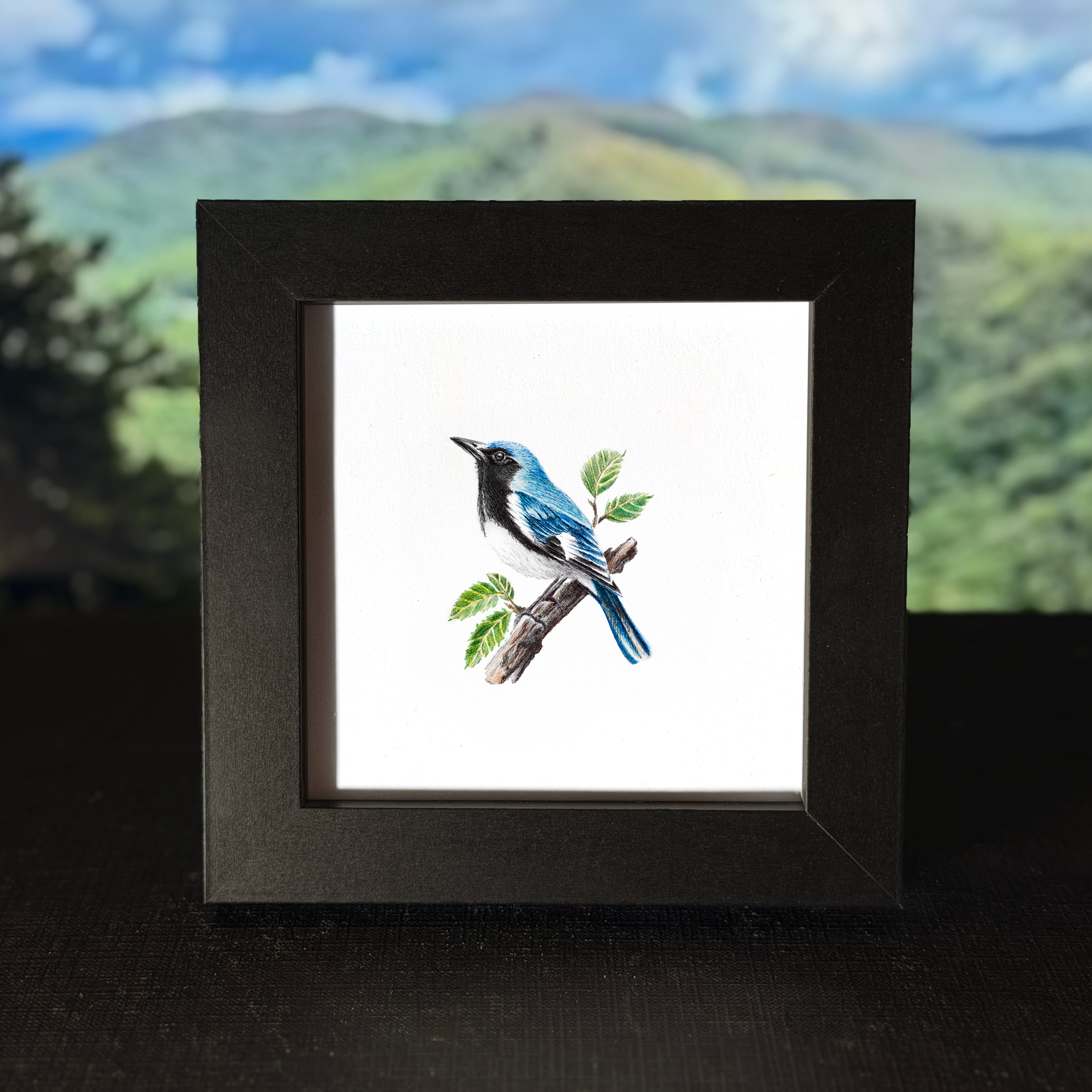 blackthroatedbluewarbler.png