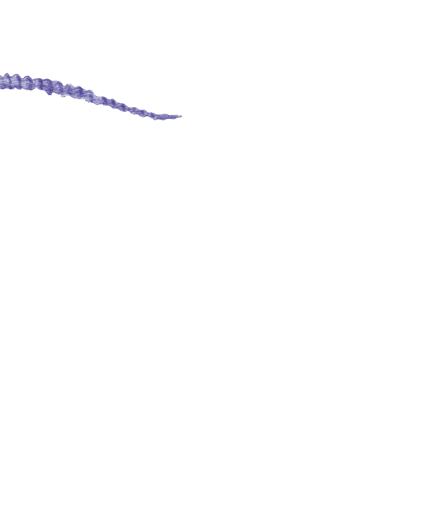 t4.png