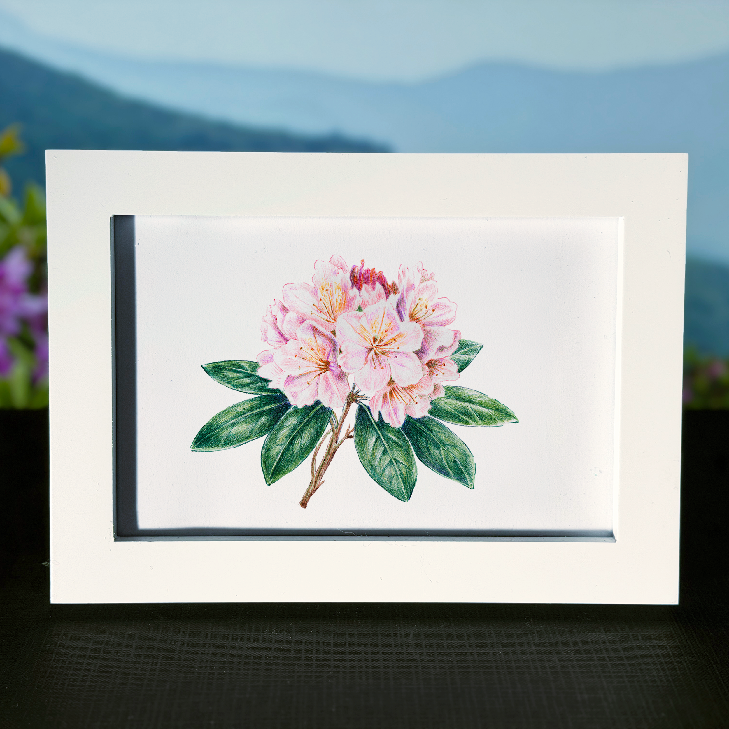 rhododendren.png