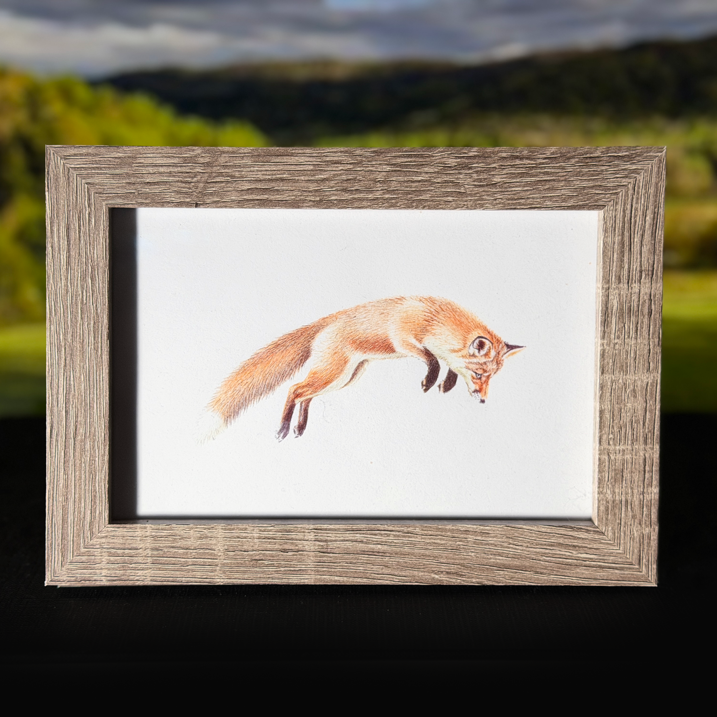 redfox.png
