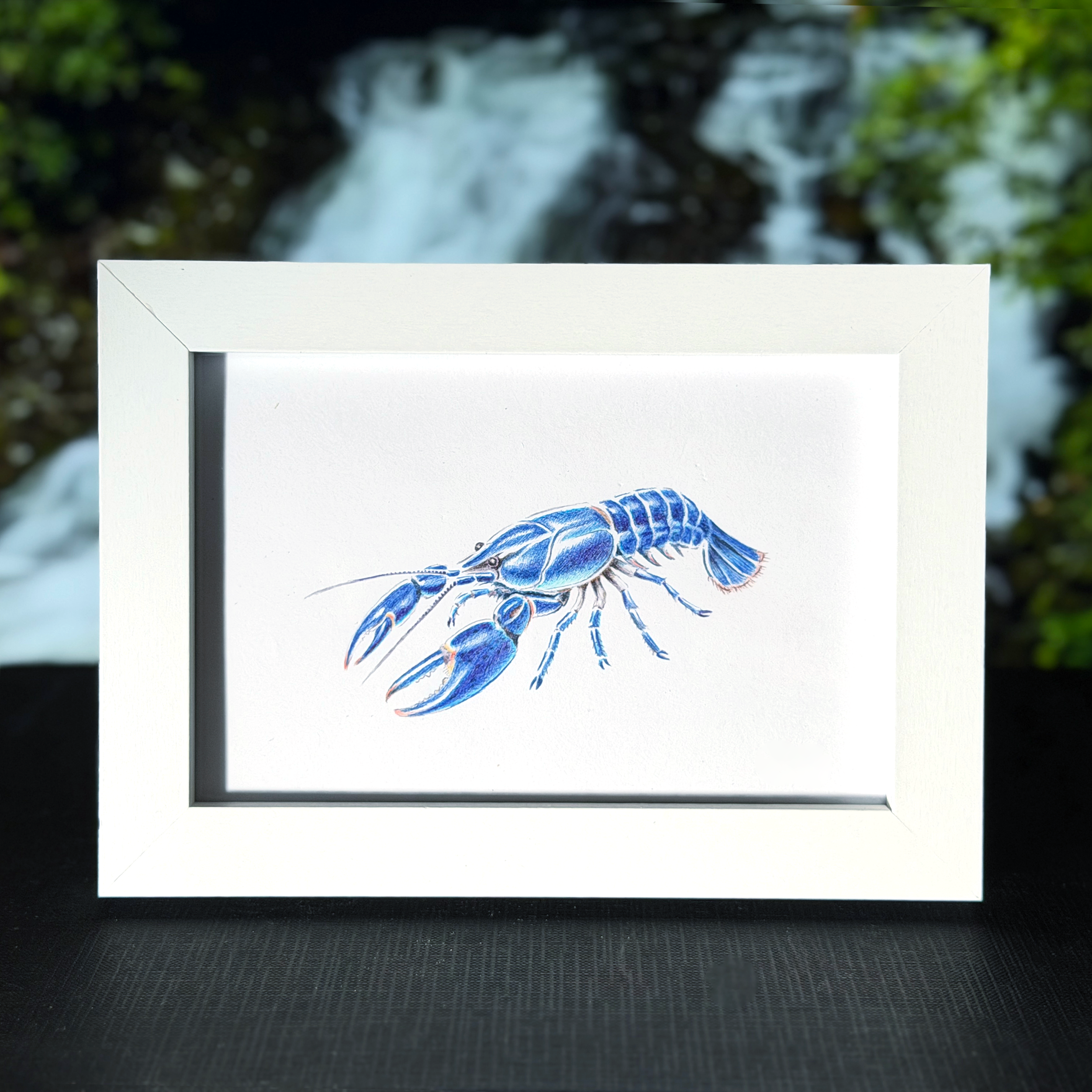 crayfish.png